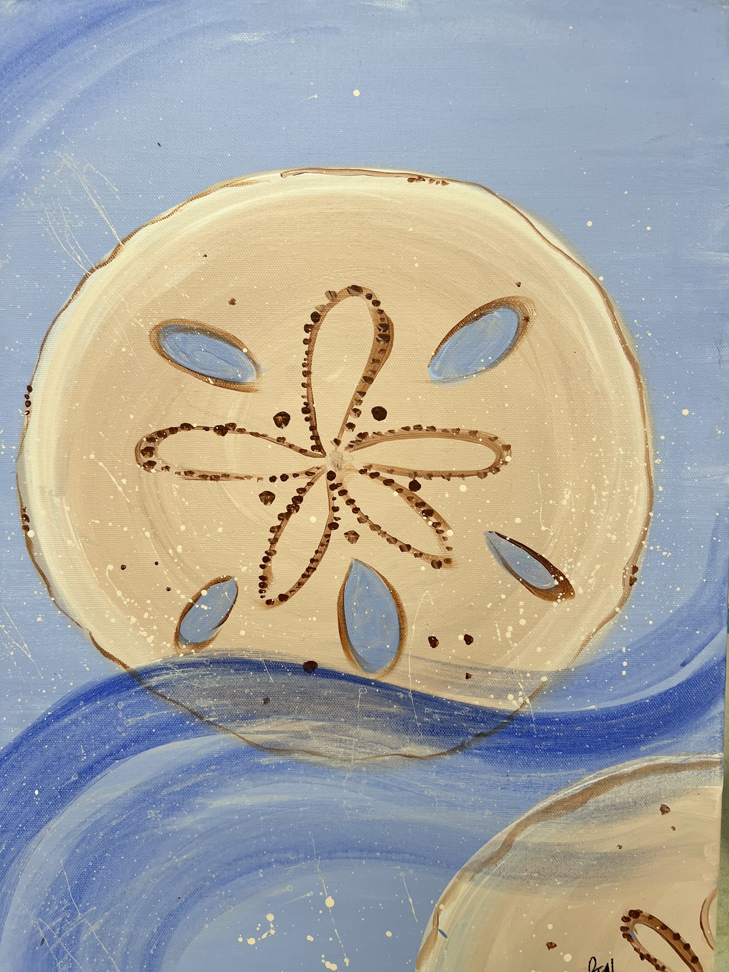 Sand Dollar