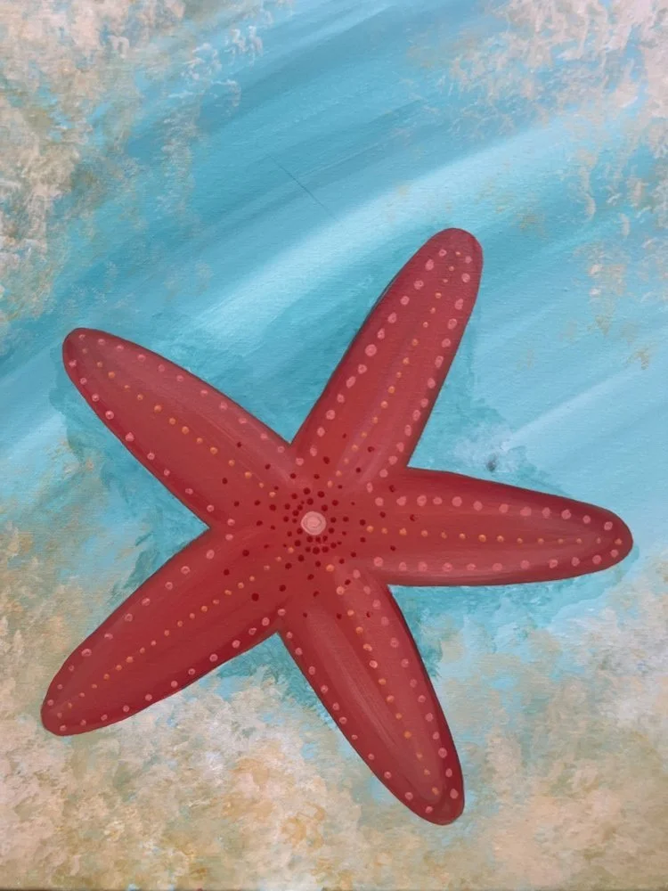 Private Event/Abigail's 7th Birthday pArty! 