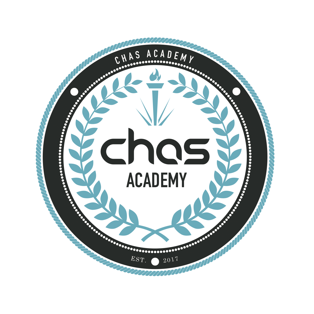 chas-academy_onebasket.png