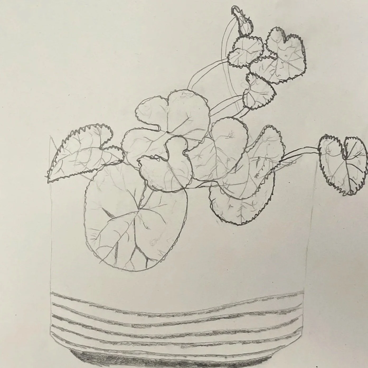 Little Details, Big Discoveries