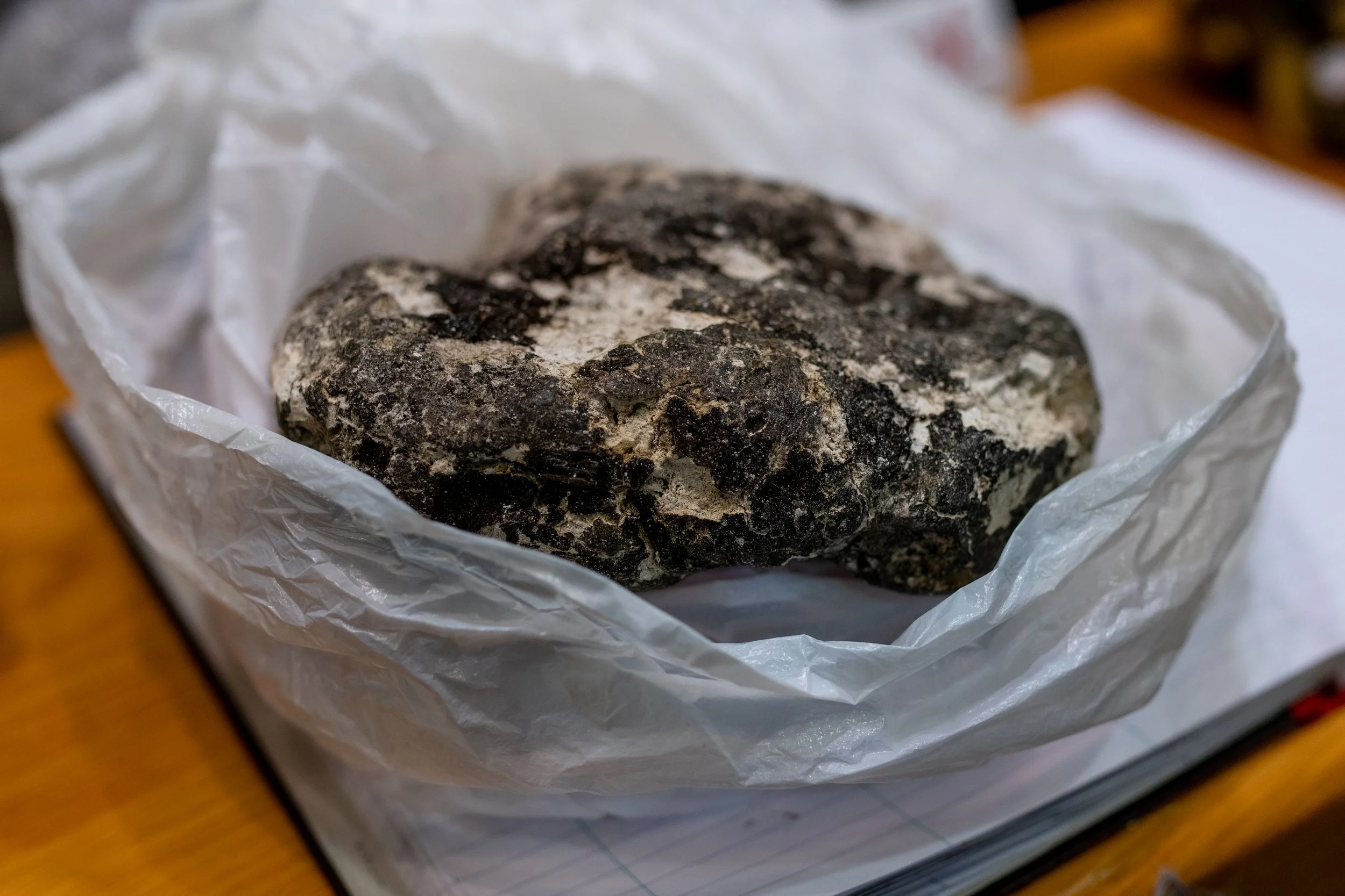 A black and white rock or mineral with a rough surface, wrapped in white plastic or tissue paper, placed on a wooden surface.