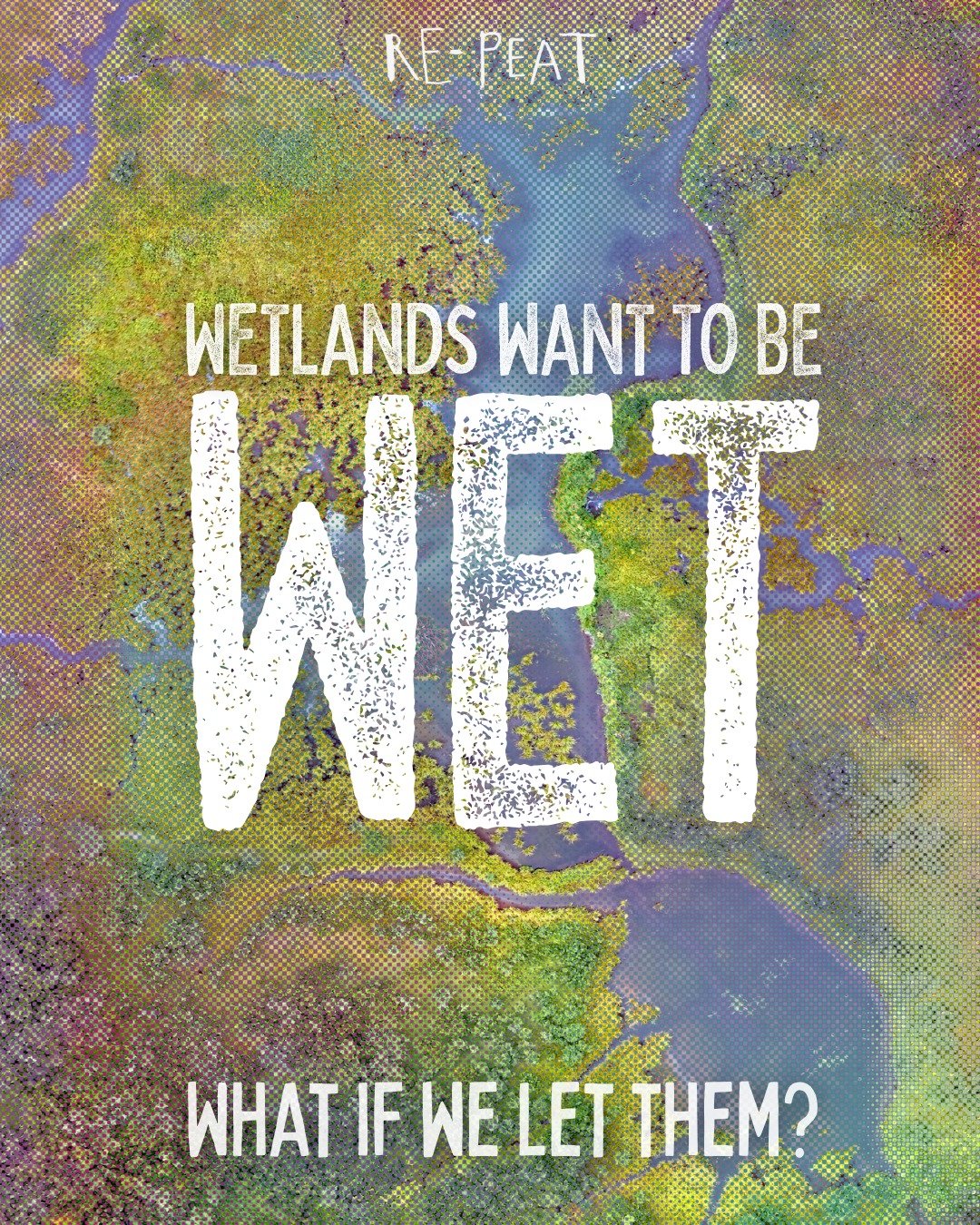 What if we let them? 

#peat #wetlands #peatlands #restoration #nature