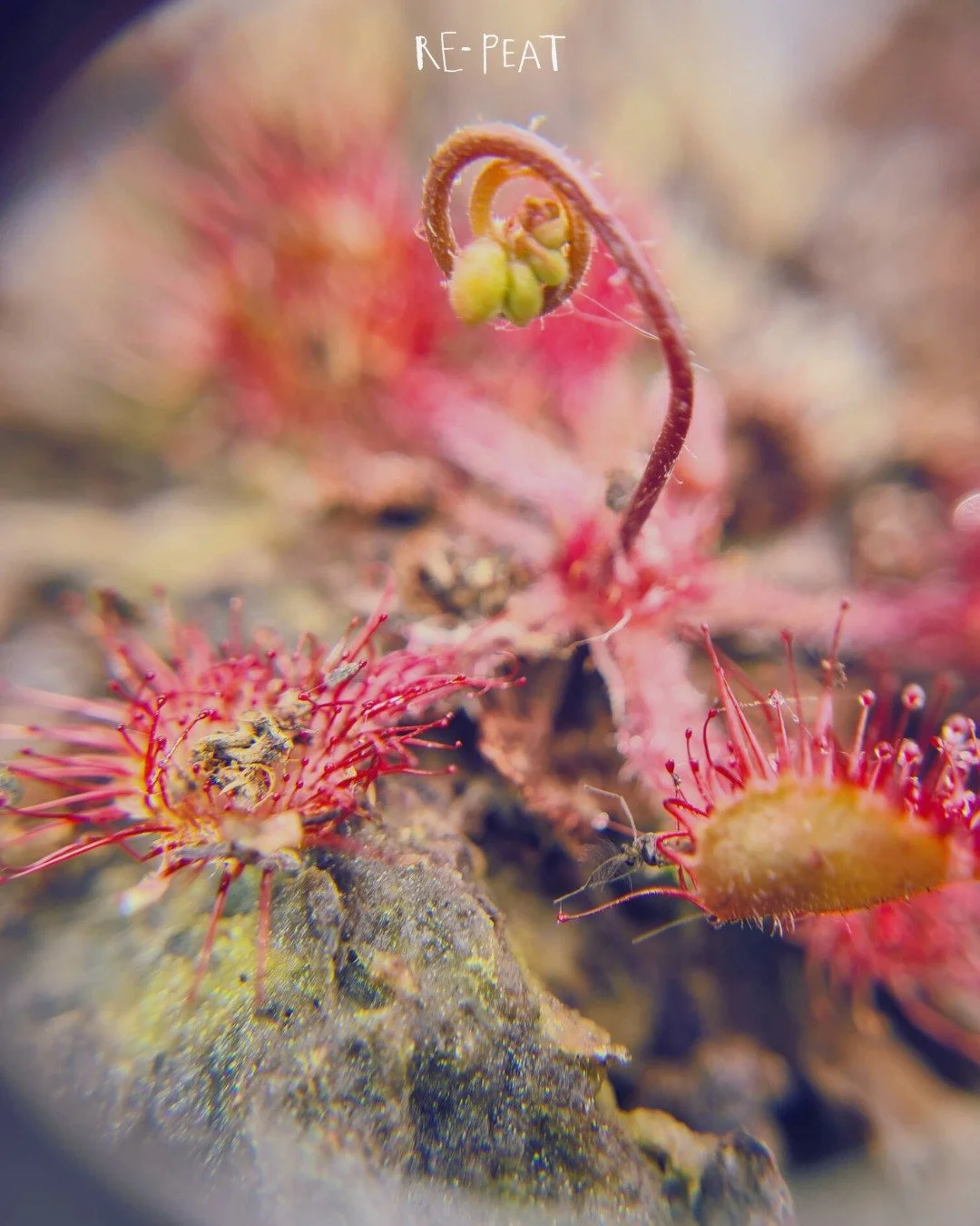 What did they tell you?