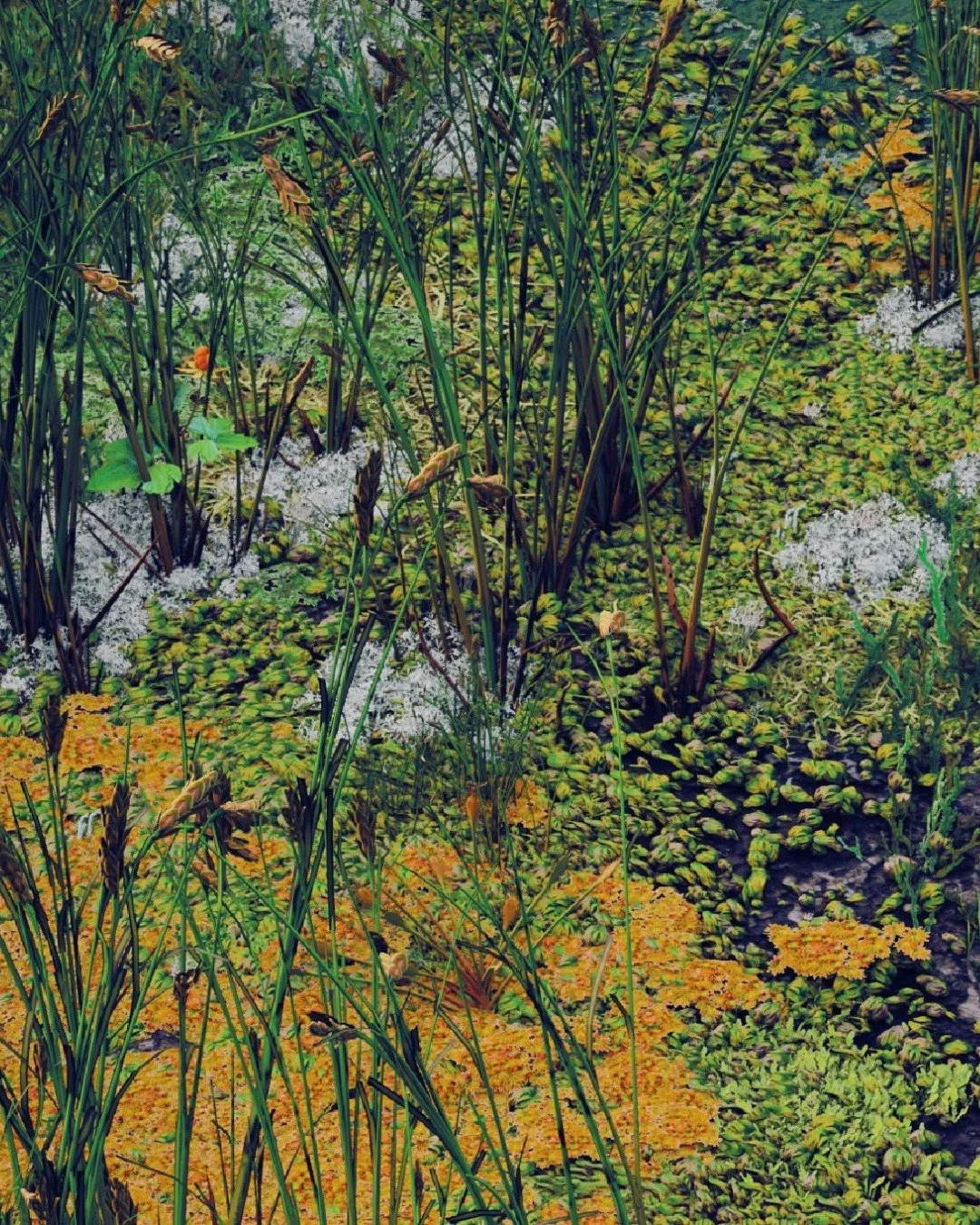 We are super excited to announce that visual artist Daniel Hengst has kindly donated a special edition of 10 prints to help us reach our minimum 80% target and achieve our fundraising goal!

This unique image was created as part of Daniel&rsquo;s wor