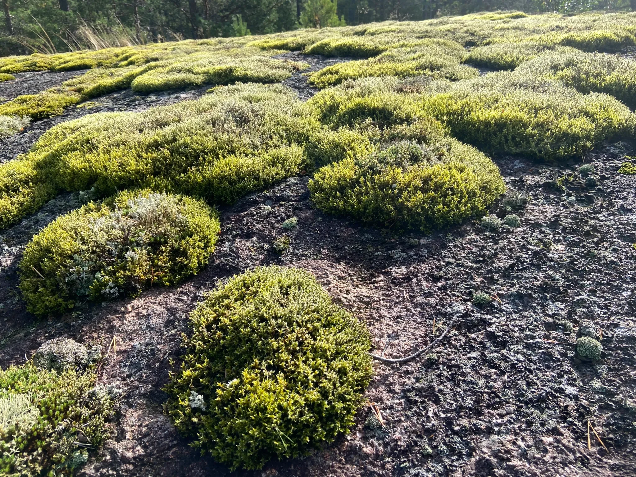 Places of possibility - memories from Finland