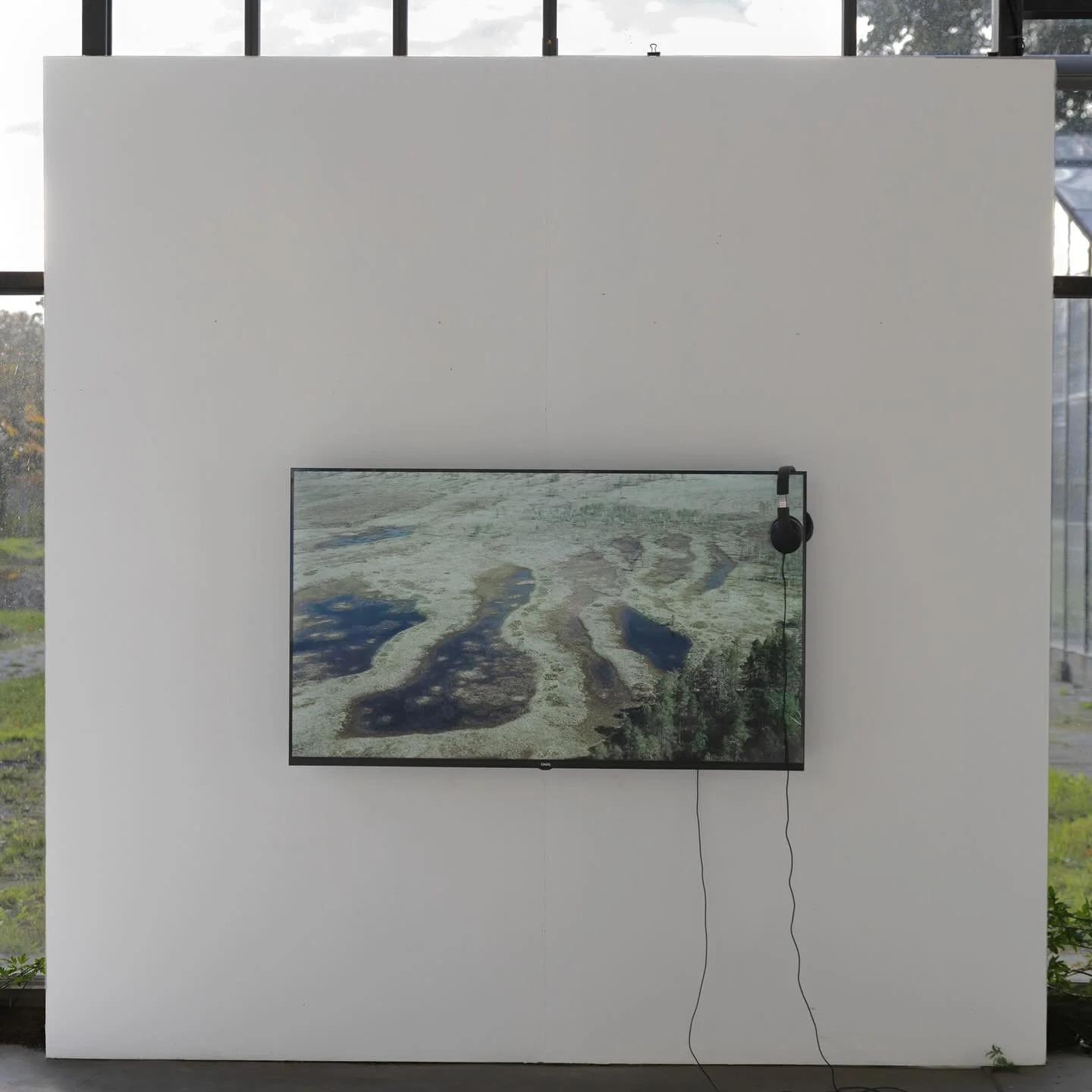 Take a look at some of the amazing artwork featured in Limbo! Limbo explores the often hidden worlds of bogs, mires and peatlands, taking a look at the interconnected webs buried under sphagnum mosses. Limbo will be open until December 7, so make sur