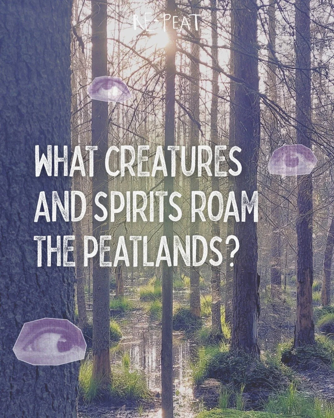 Peatlands not only act as a vital landscape for the world; they are believed to also be portals to imagination and more-than-human entities 🧚. Historically, wetlands are seen as places where the veil between our world and the unknown is thinnest, wh