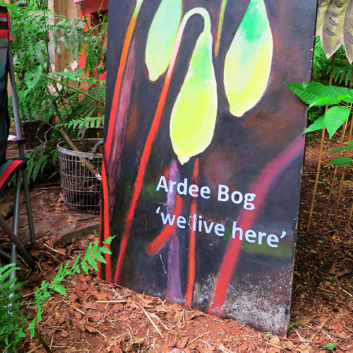 Peatland restoration and why communities matter