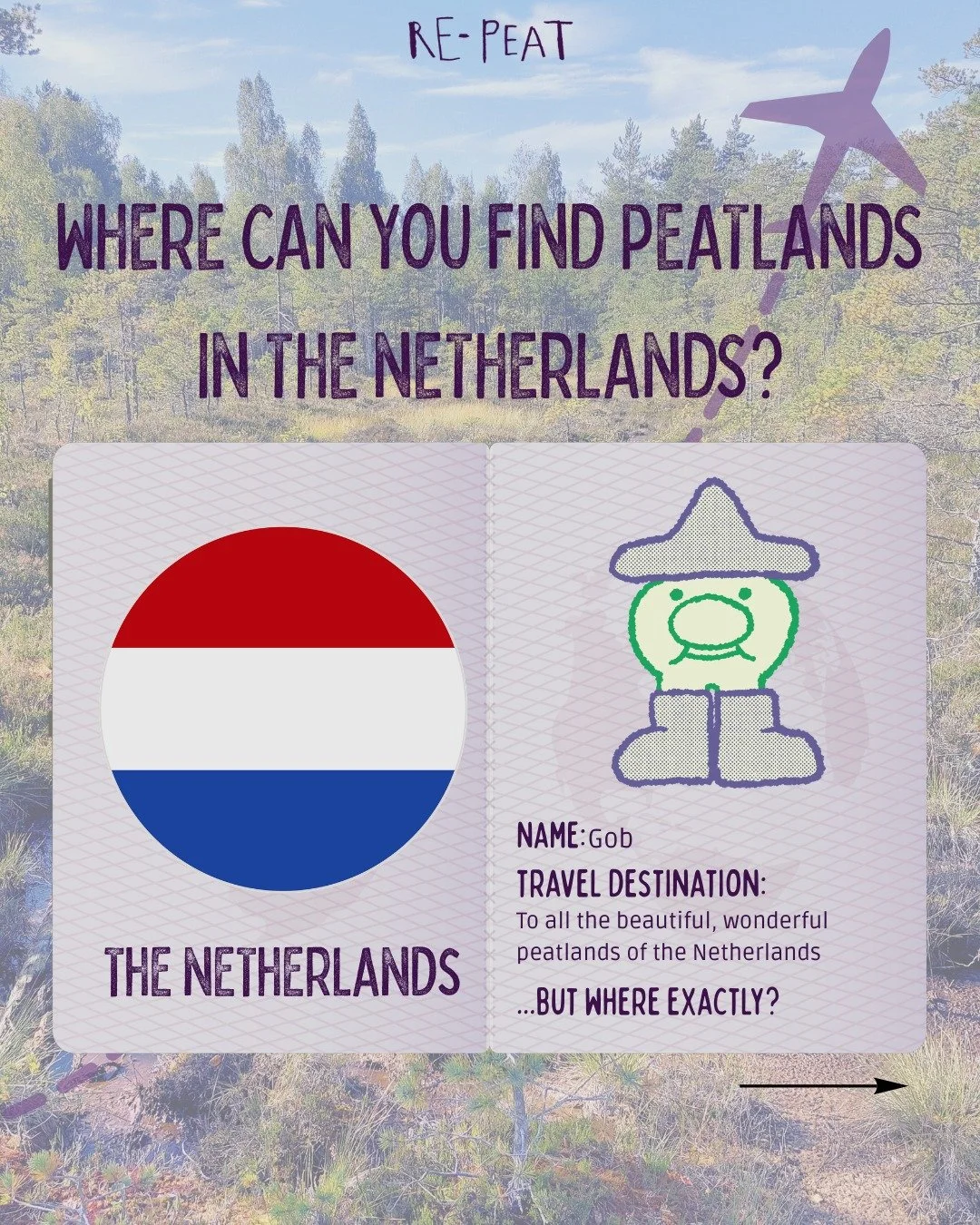 We are coming to you with some convenient peatland locations in the Netherlands🔆
As the sun returns and outdoor season begins consider payuing a visit to one of these beautiful wetlands!

#netherlands #peatlands #wetlands #peat