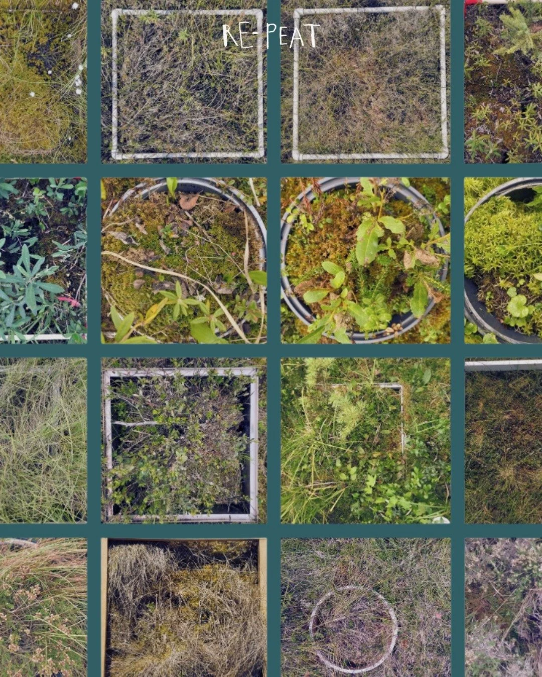 In our latest podcast episode we&rsquo;re joined by Dr Scott Davidson to explore peatlands as &ldquo;overutilised and underappreciated&rdquo; ecosystems.

From the @peatcolours to global wetland research, we discuss how citizen science, photography, 