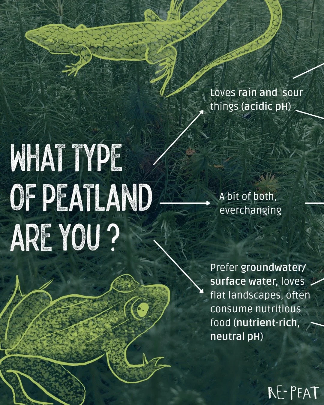 In case you were wondering👀

#peatlands #fens #bogs #nature