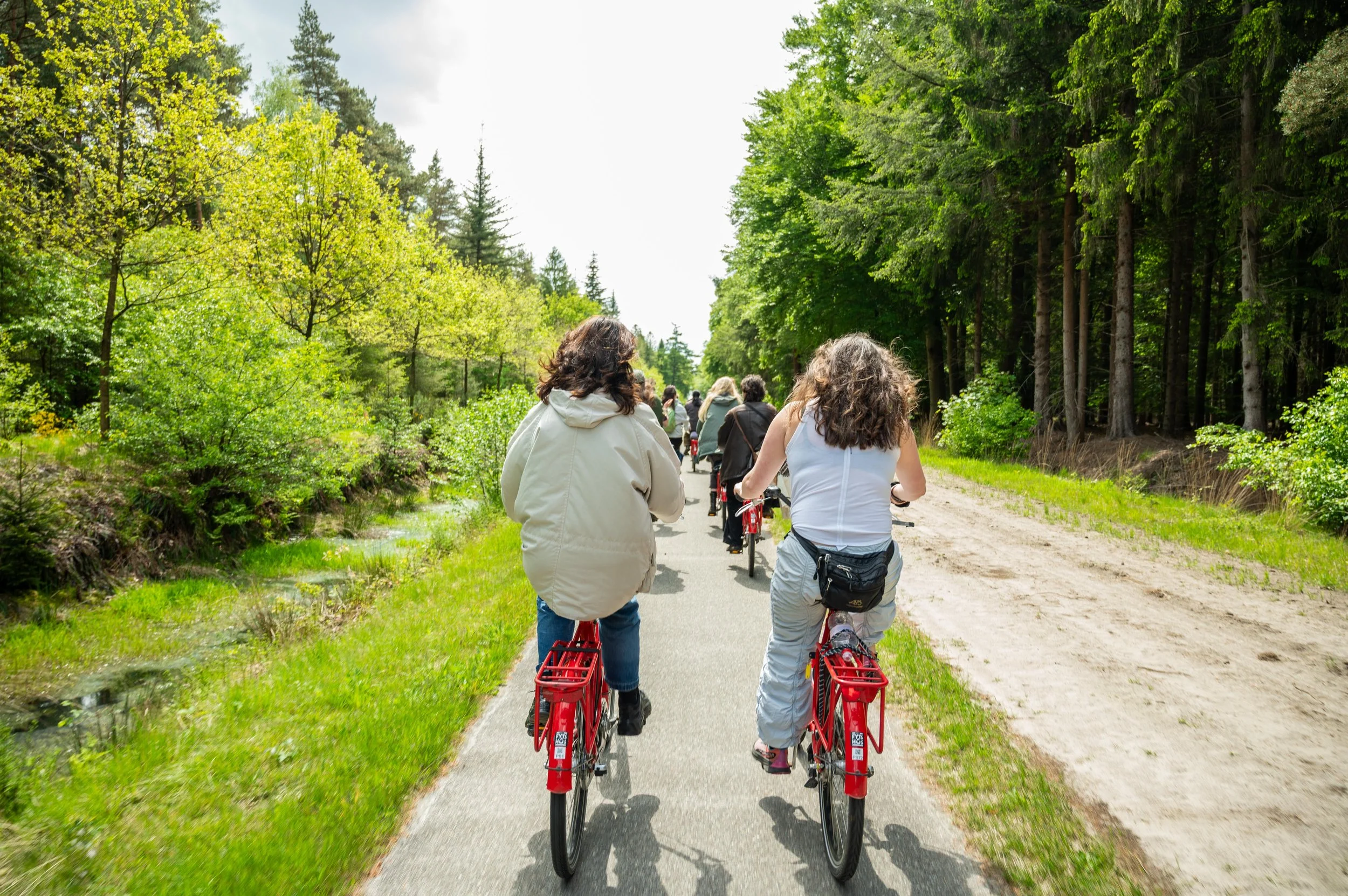 Group of people riding red bicycles on a forest trail surrounded by green trees on a sunny day.