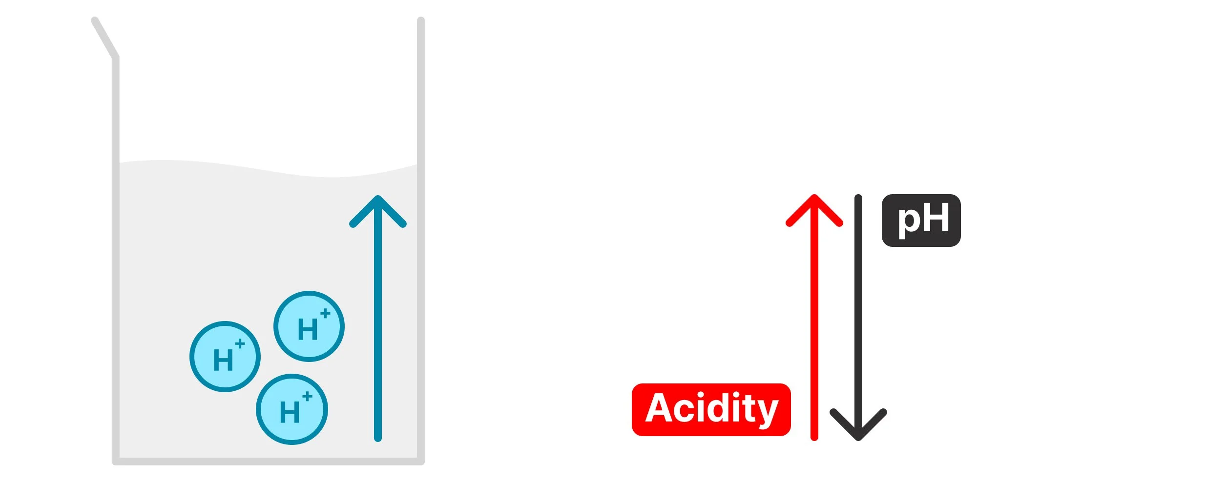 Diagram showing that increasing hydrogen ion concentration increases acidity and lowers pH.