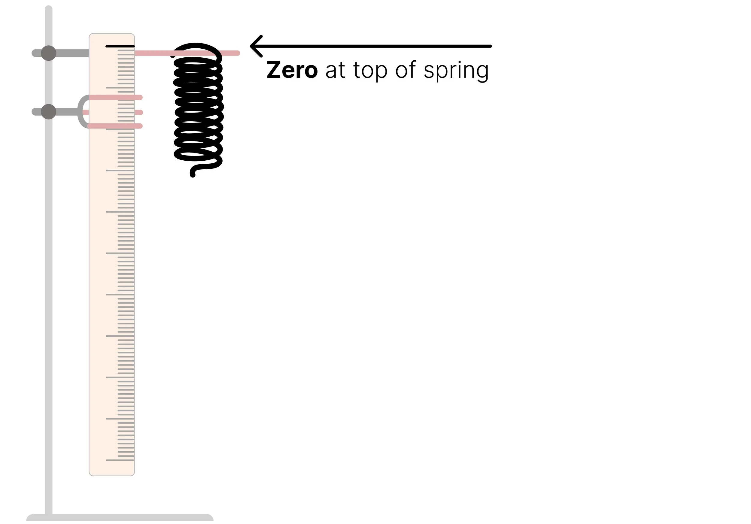 Spring suspended vertically beside a ruler, with the ruler's zero aligned with the top of the spring.