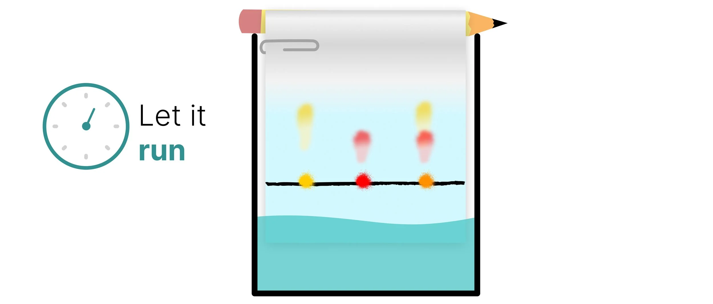 Chromatography paper suspended in a beaker with ink spots above the water level, allowing dyes to separate as the solvent rises.
