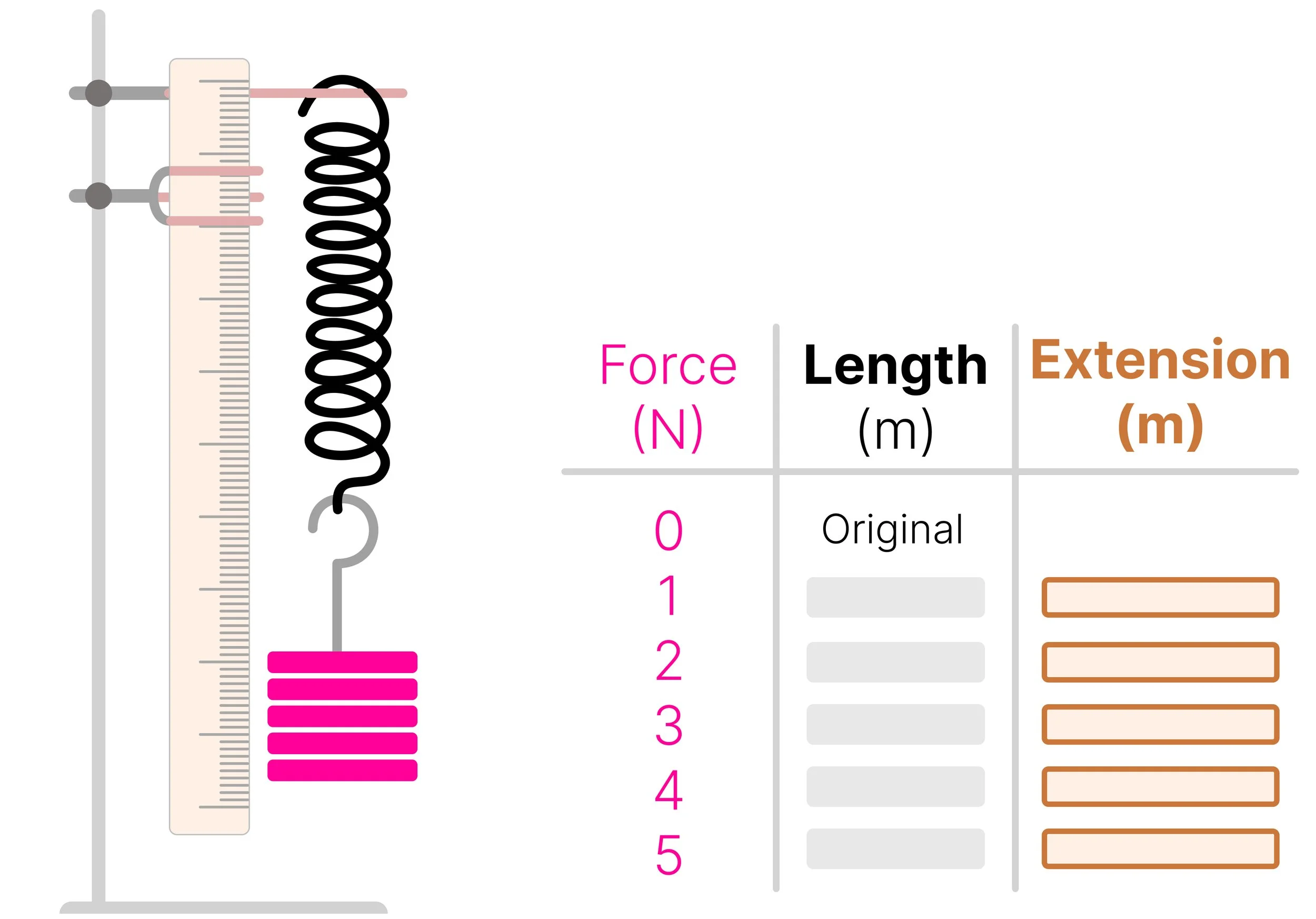 Spring supporting a 5 N load beside a results table showing force, spring length and calculated extension.