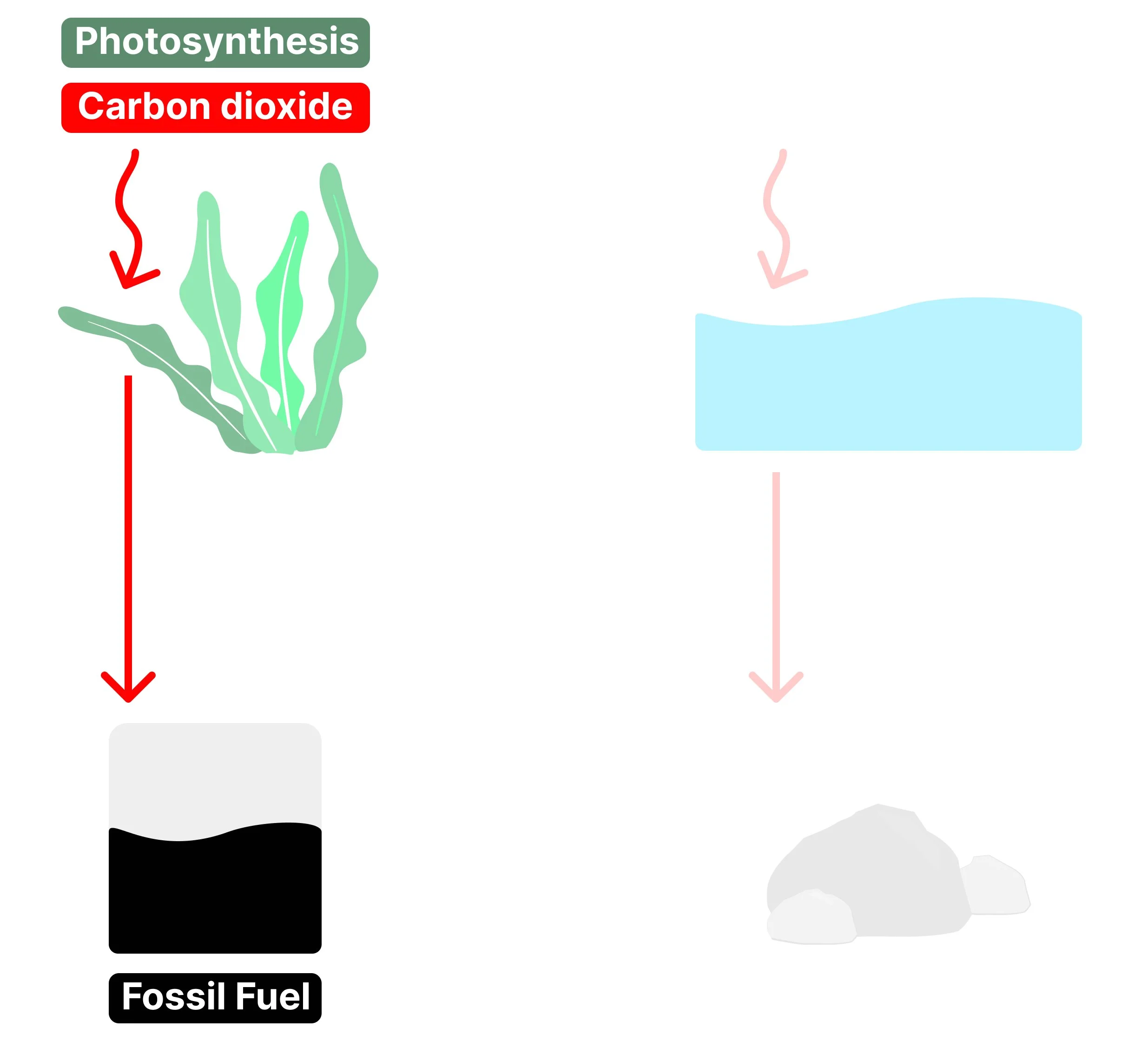 A vector illustration showing a green plant absorbing carbon dioxide, with a red arrow pointing down to a layer of black fossil fuels, demonstrating how carbon became locked away over millions of years.