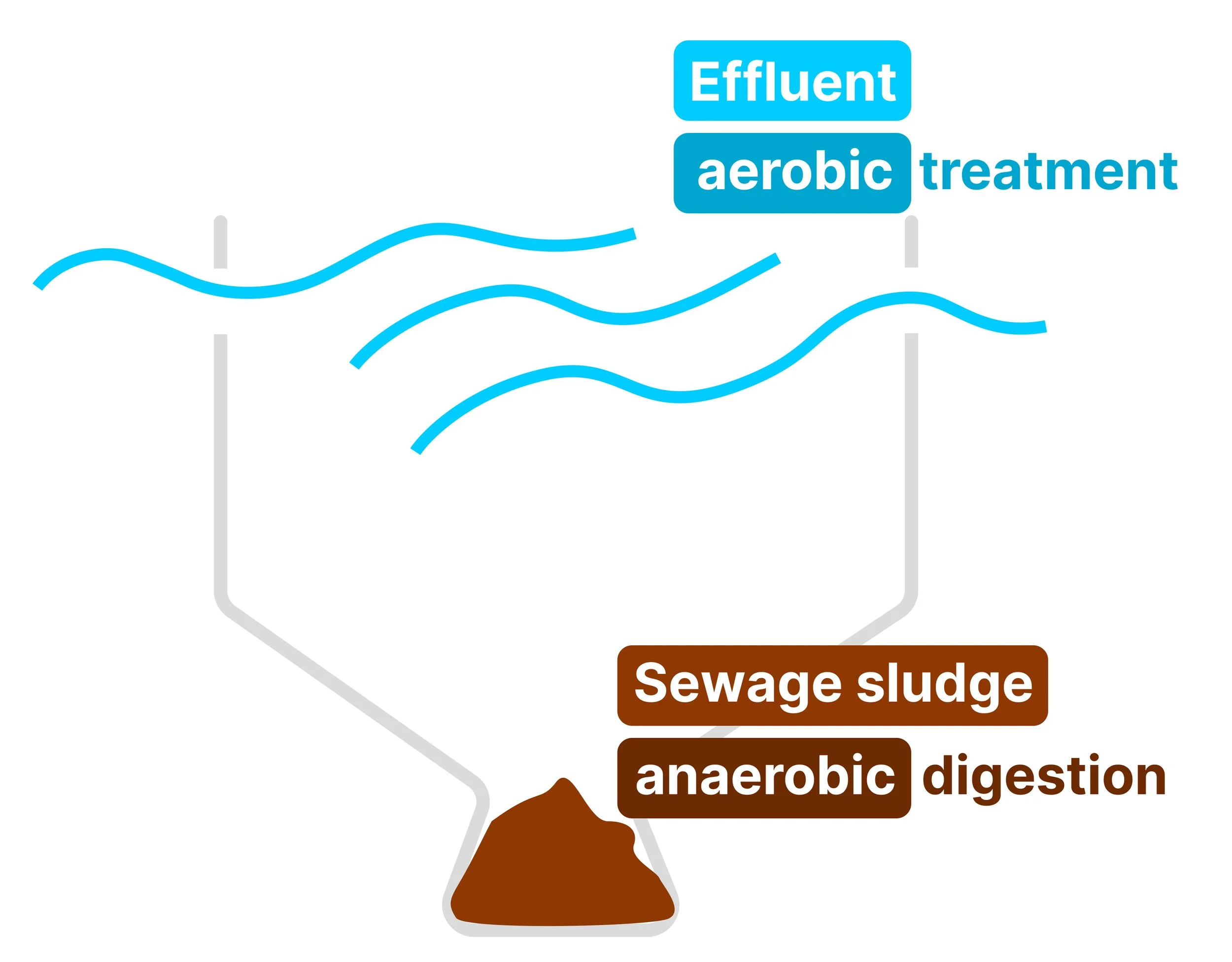 Vector graphic showing sedimentation tank with water flowing through and sludge sunk at the bottom. The water is labelled 'Effluent' and text reads 'aerobic treatment'. 'Sewage sludge' is also labelled and text reads: 'anaerobic digestion'.