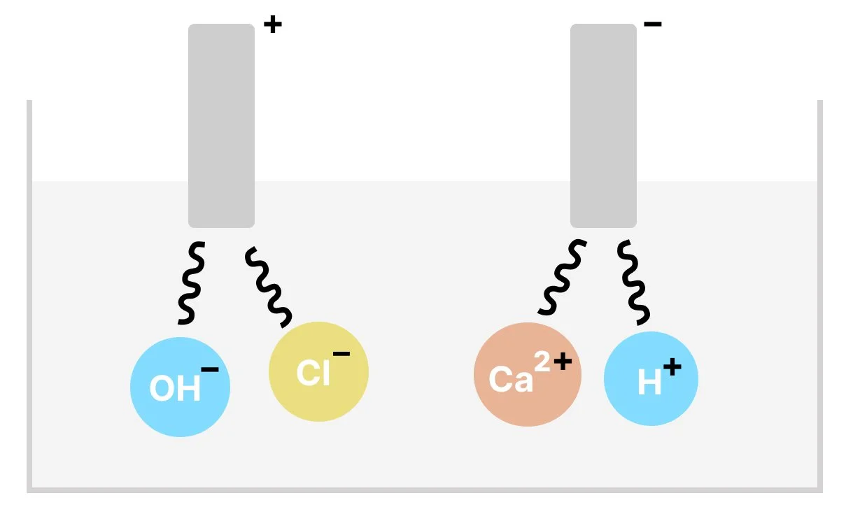 Electrolysis setup with negative Hydroxide and Chloride ions attracted to positive electrode (anode) and positive Hydrogen and Calcium ions attracted to negative electrode (Cathode).