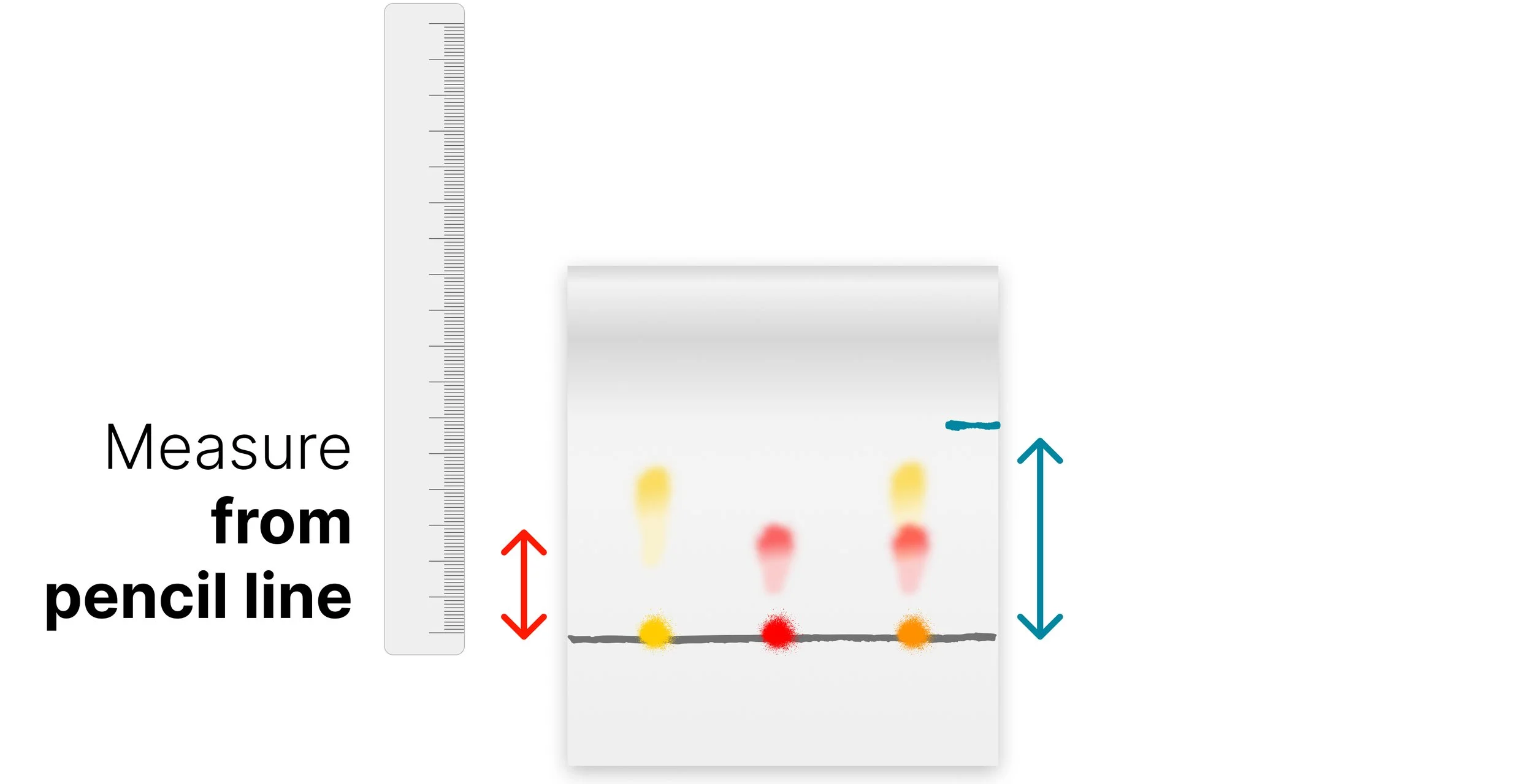 Diagram showing, using a ruler, distances measured from the pencil baseline to a separated dye spot and to the solvent front..