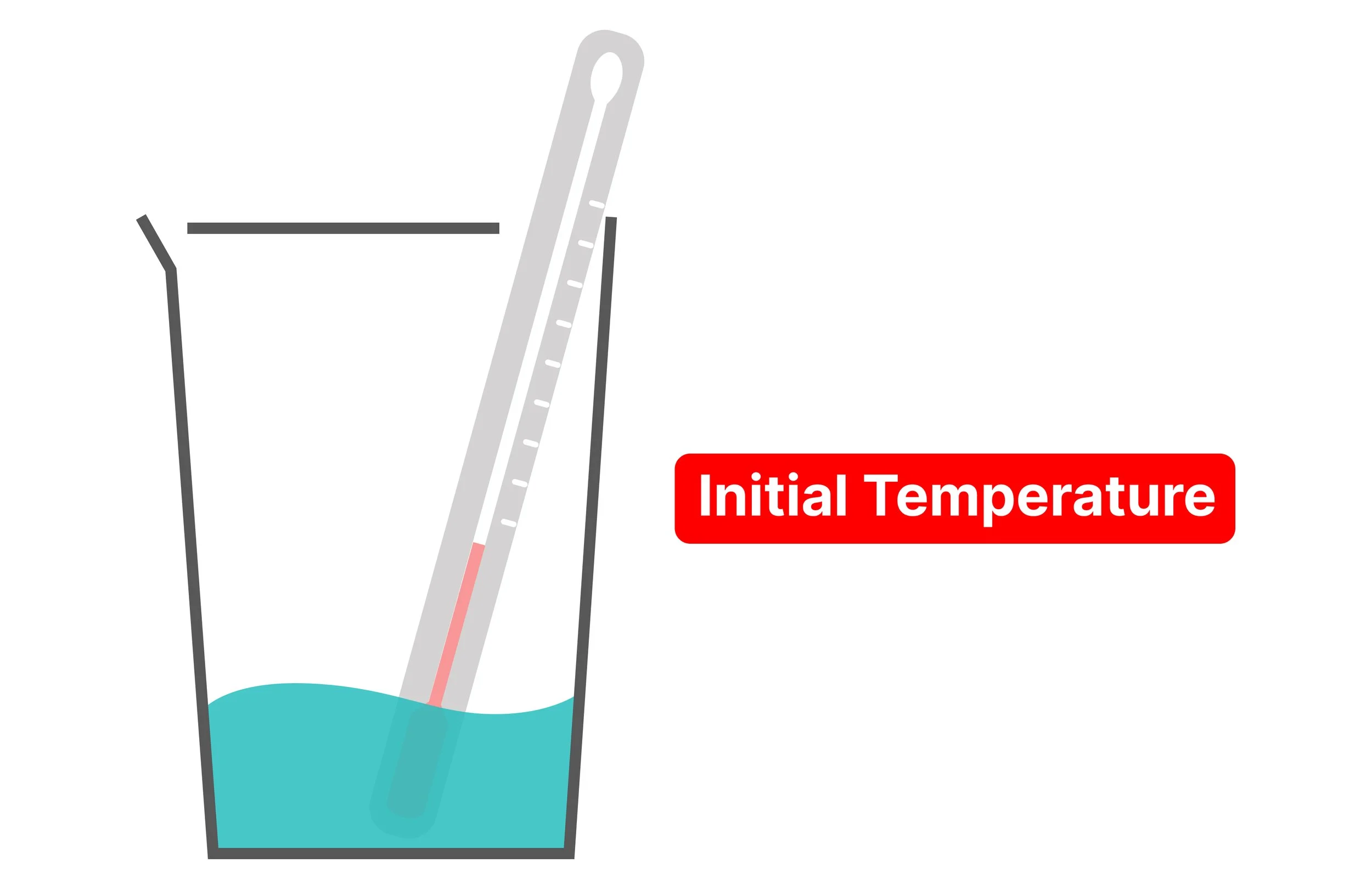 Measuring the initial temperature of water in an insulated cup using a thermometer.