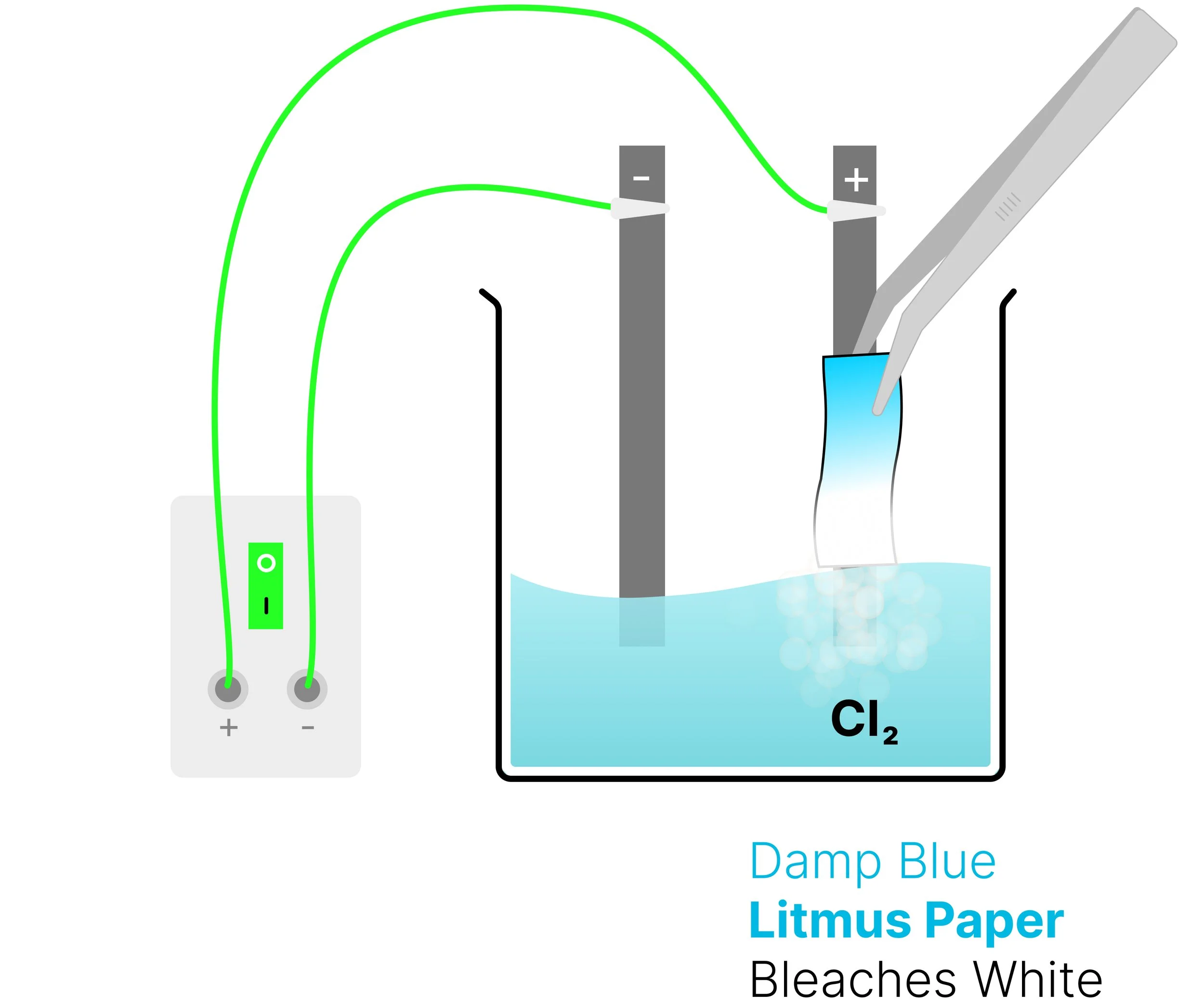 Damp blue litmus paper held near chlorine gas bubbles at the positive anode during electrolysis of aqueous copper(II) chloride. The litmus is bleached white.