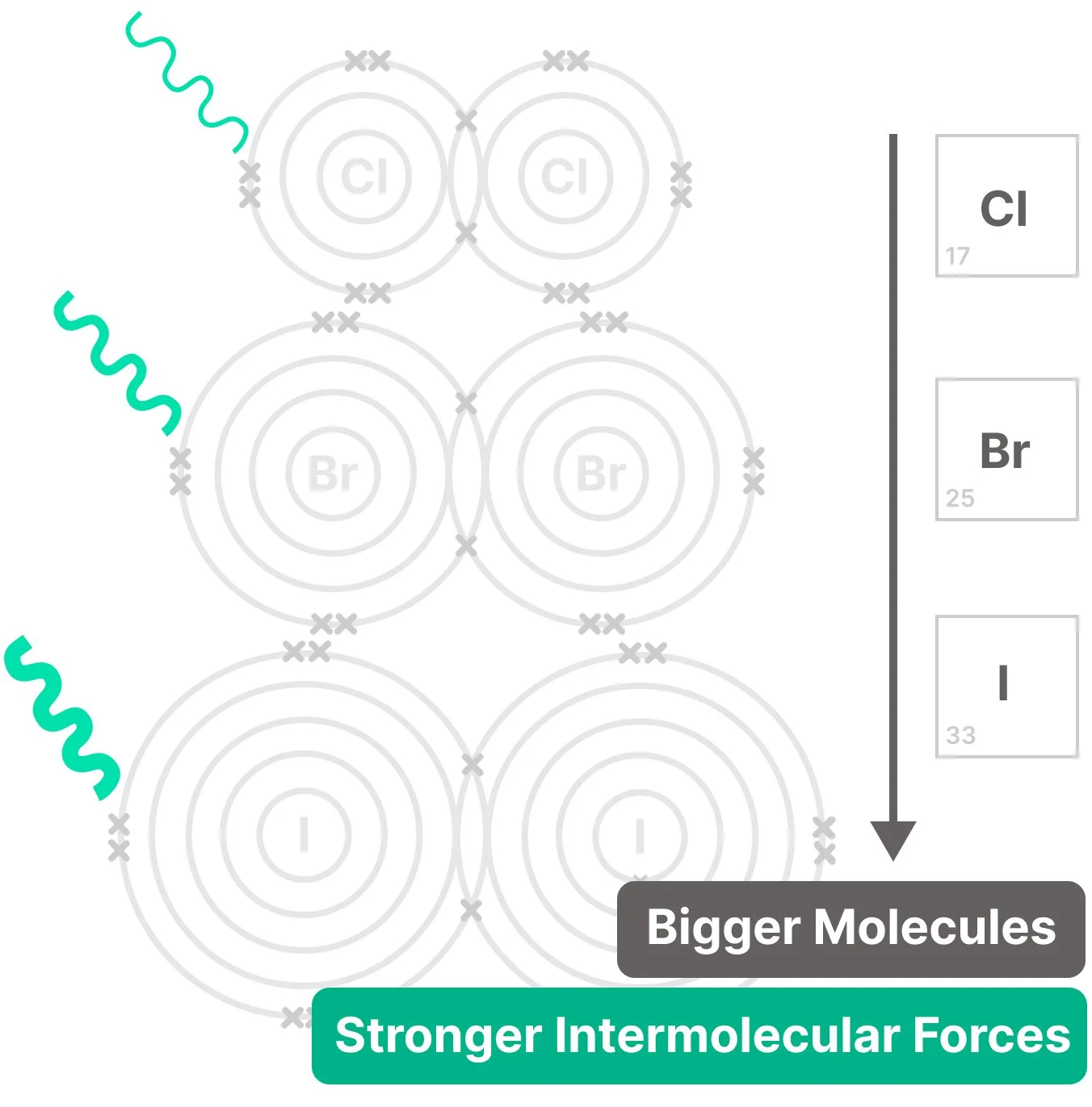 Through simple graphic of electron shells, Increasing number of electron shells and molecule sizes of Halogens going down the group (Chlorine, Bromine, Iodine) so stronger intermolecular forces.