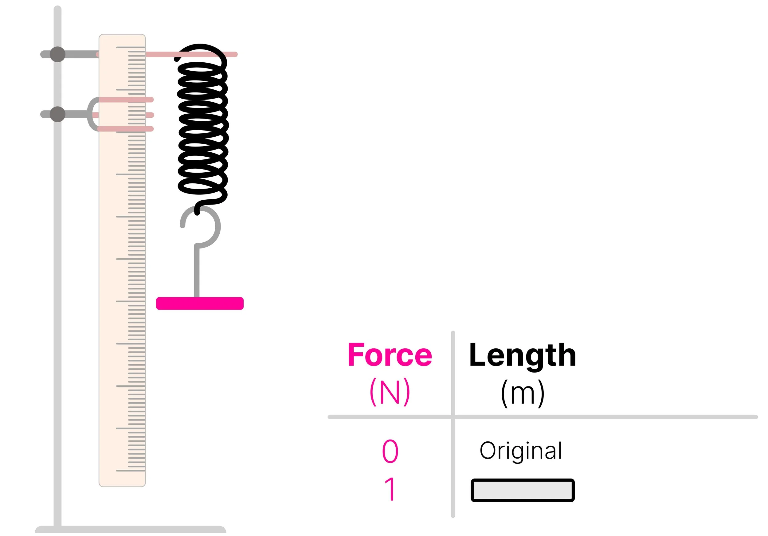 Spring stretched by a 1 N load, with a results table for recording the spring's new length.