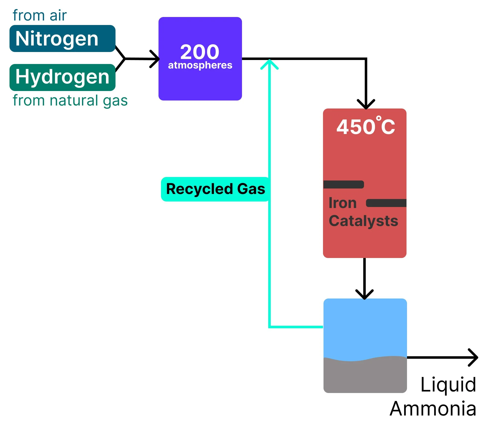 Nitrogen and Hydrogen entering high pressure and high temperature and through iron catalysts, then cooled into liquified ammonia and some gases are recycled back again. Flow is shown with arrows.