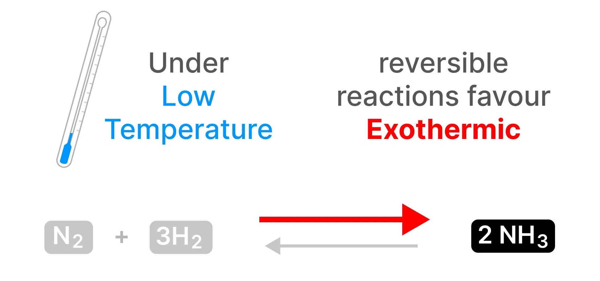 Ammonia chemical equation with forward reaction arrow highlighted in red. Next to a thermometer graphic, text reads: under low temperature, reversible reaction favours exothermic.