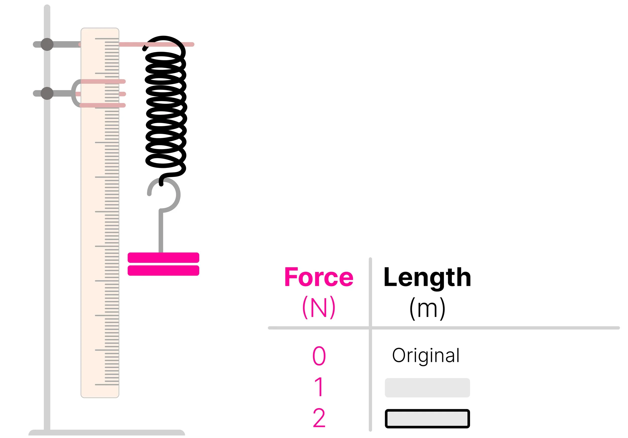 Spring stretched by a 2 N load, showing how the length is recorded as the applied force increases.