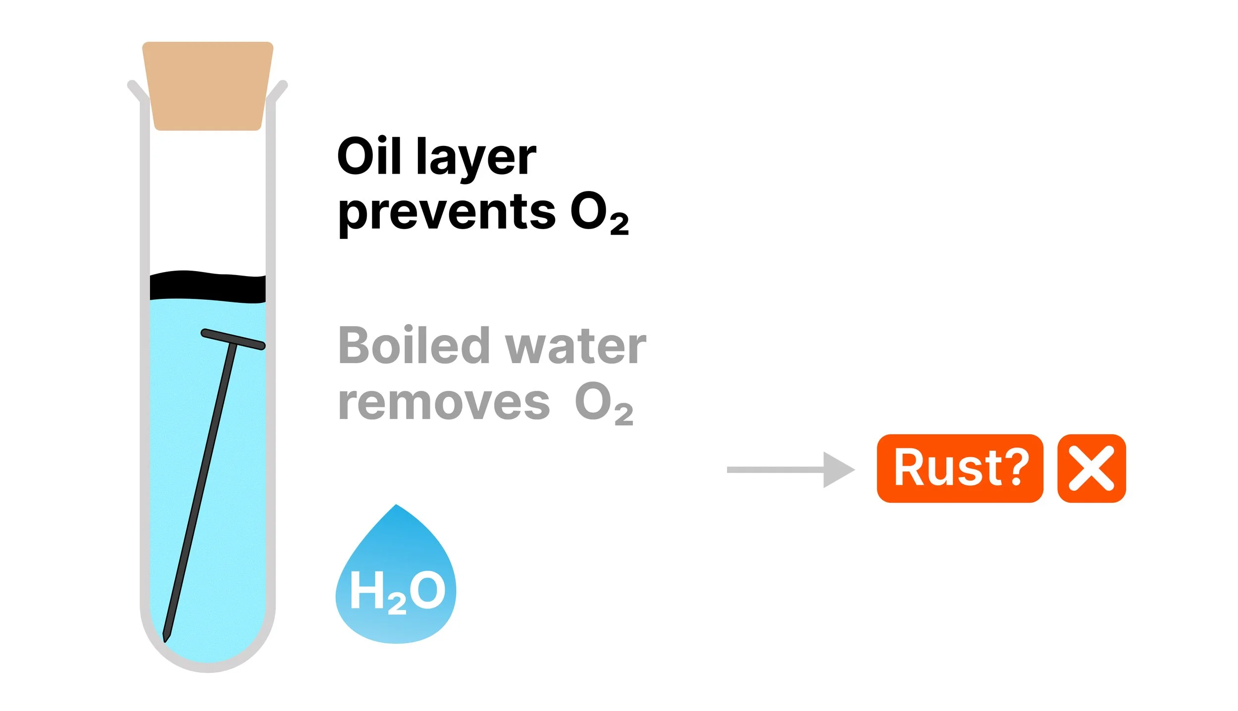 Tube 2 with an iron nail inside boiled water and an oil seal. A water droplet indicates the nail is exposed to water. Text reads: Oil layer prevents oxygen. Boiled water removes oxygen. Rust? a cross.
