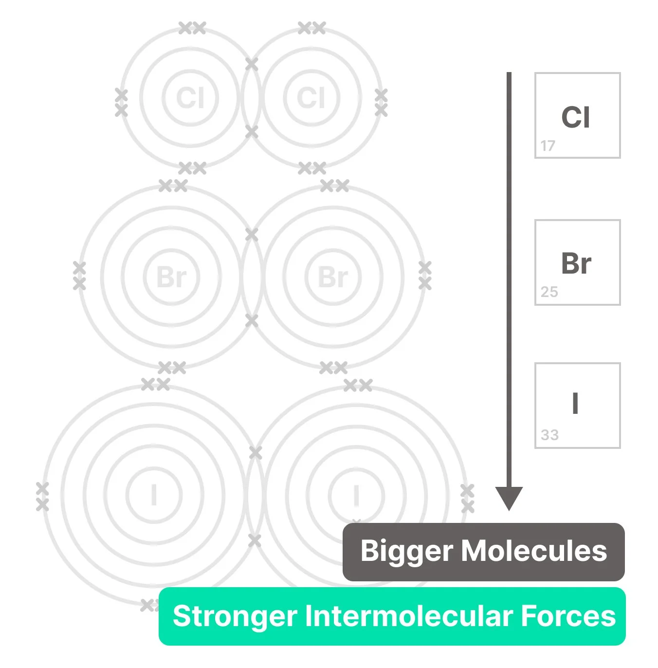 Increasing number of electron shells and molecule sizes of Halogens going down the group (Chlorine, Bromine, Iodine) so stronger intermolecular forces.