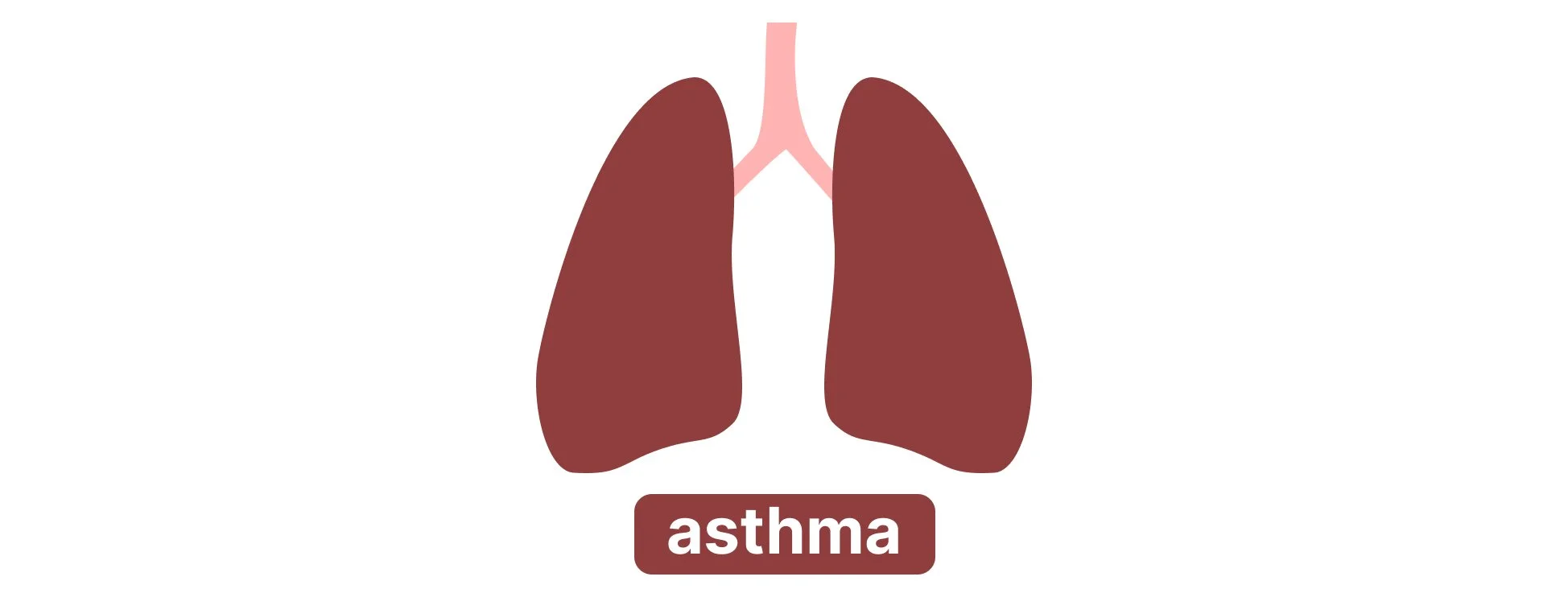 A minimalist vector illustration of human lungs with an asthma label to represent the respiratory health effects of nitrogen dioxide emissions.