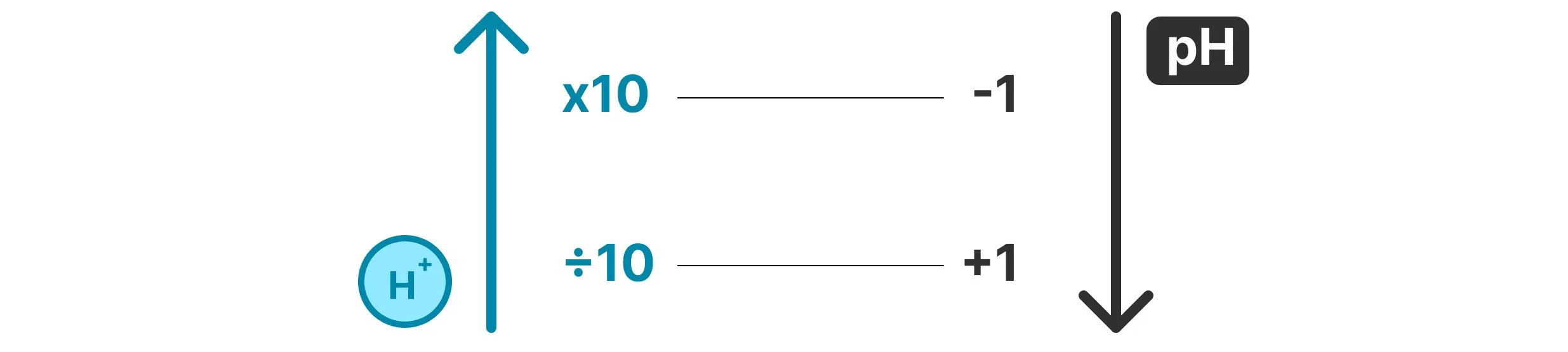 Diagram showing that a tenfold increase in H⁺ ion concentration corresponds to a decrease of 1 pH unit, while a tenfold decrease corresponds to an increase of 1 pH unit.