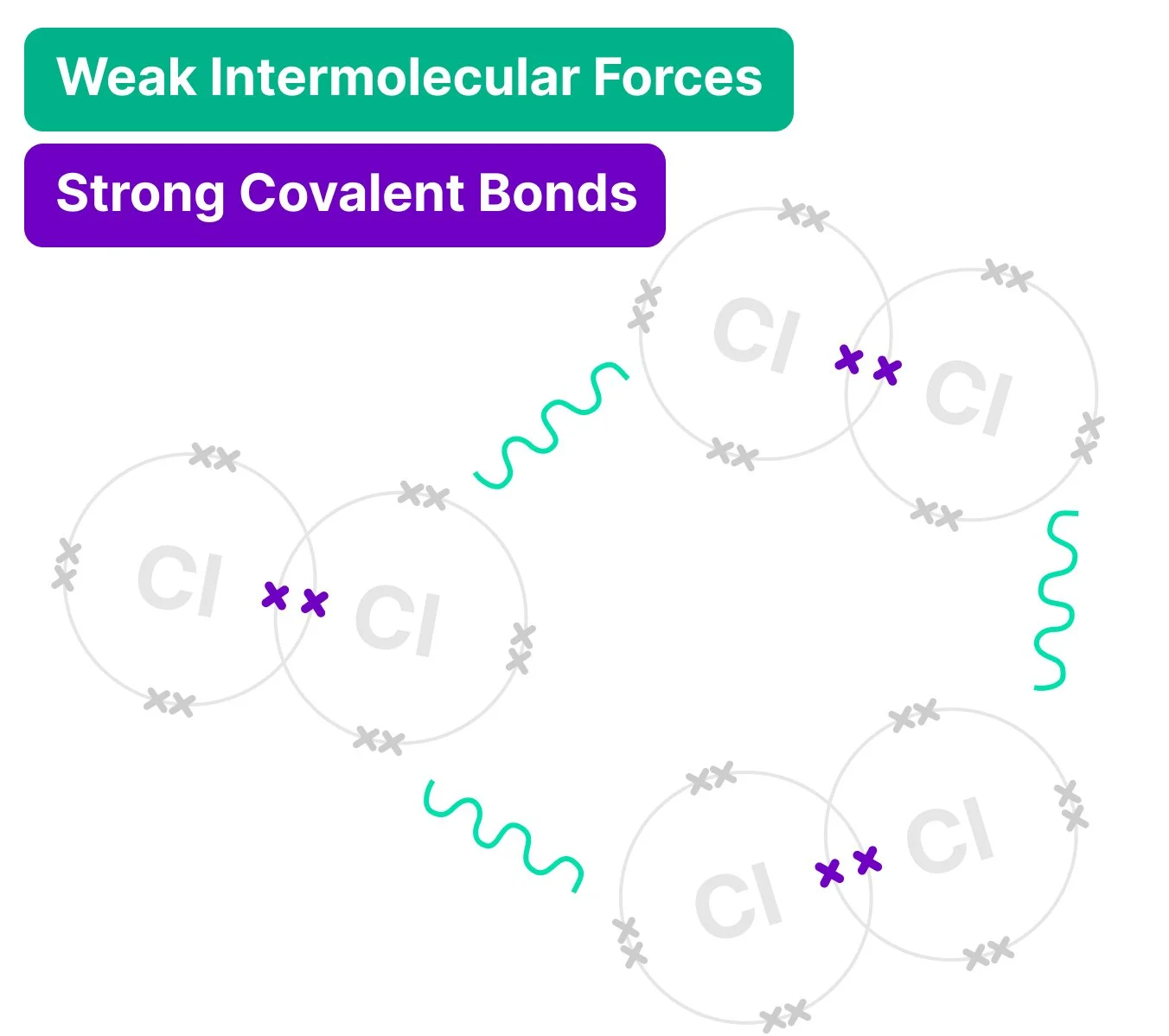 Both strong covalent bonds shown holding Chlorine atoms in pairs and weak intermolecular forces between the chlorine molecules.