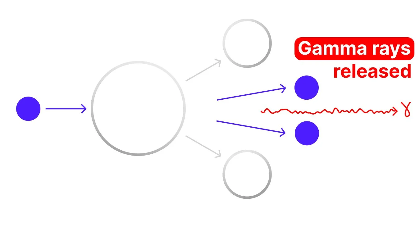 Nuclear fission diagram showing two smaller nuclei, neutrons and gamma rays released from a uranium nucleus.