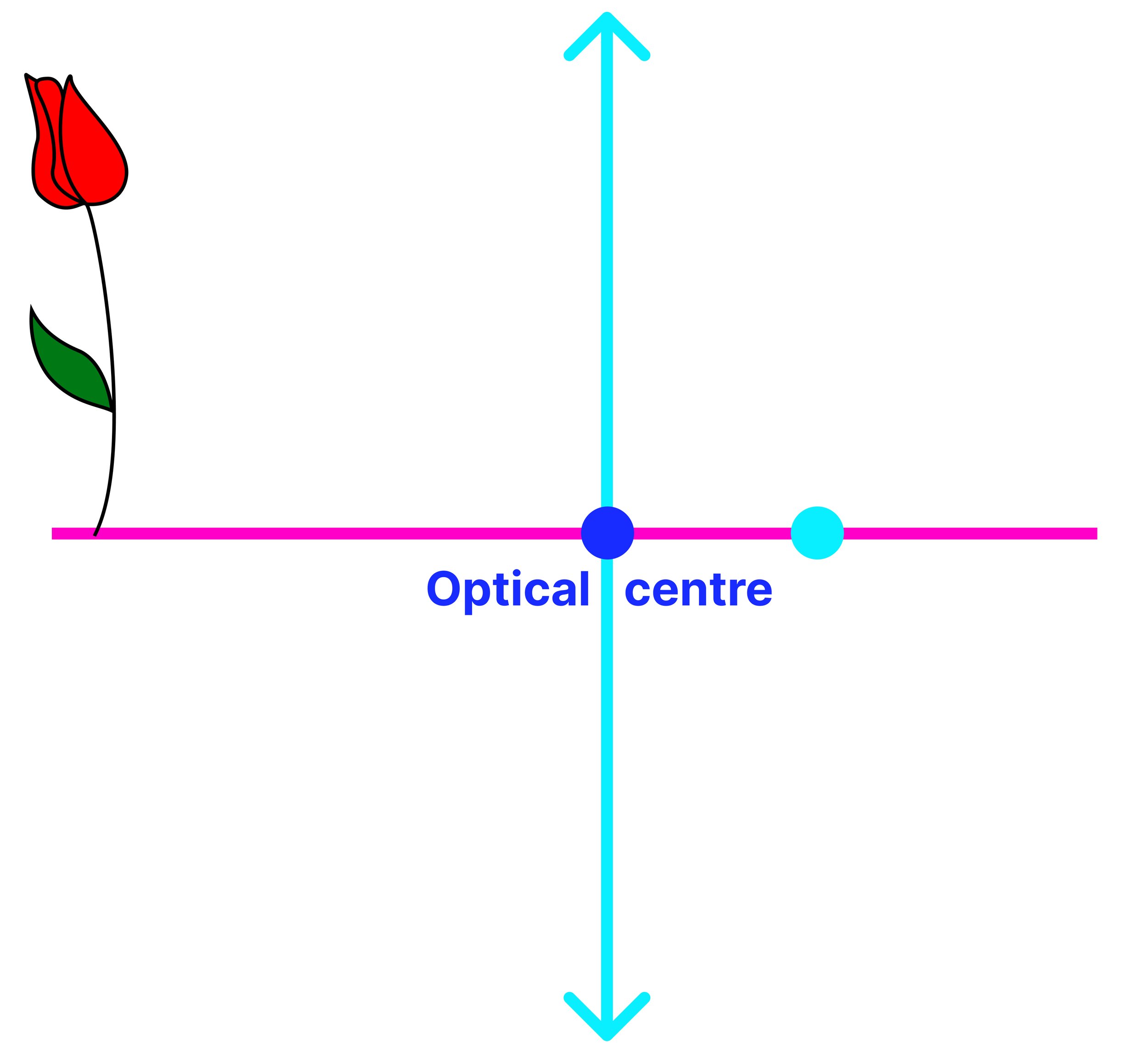 Convex lens ray diagram showing the optical centre on the principal axis.