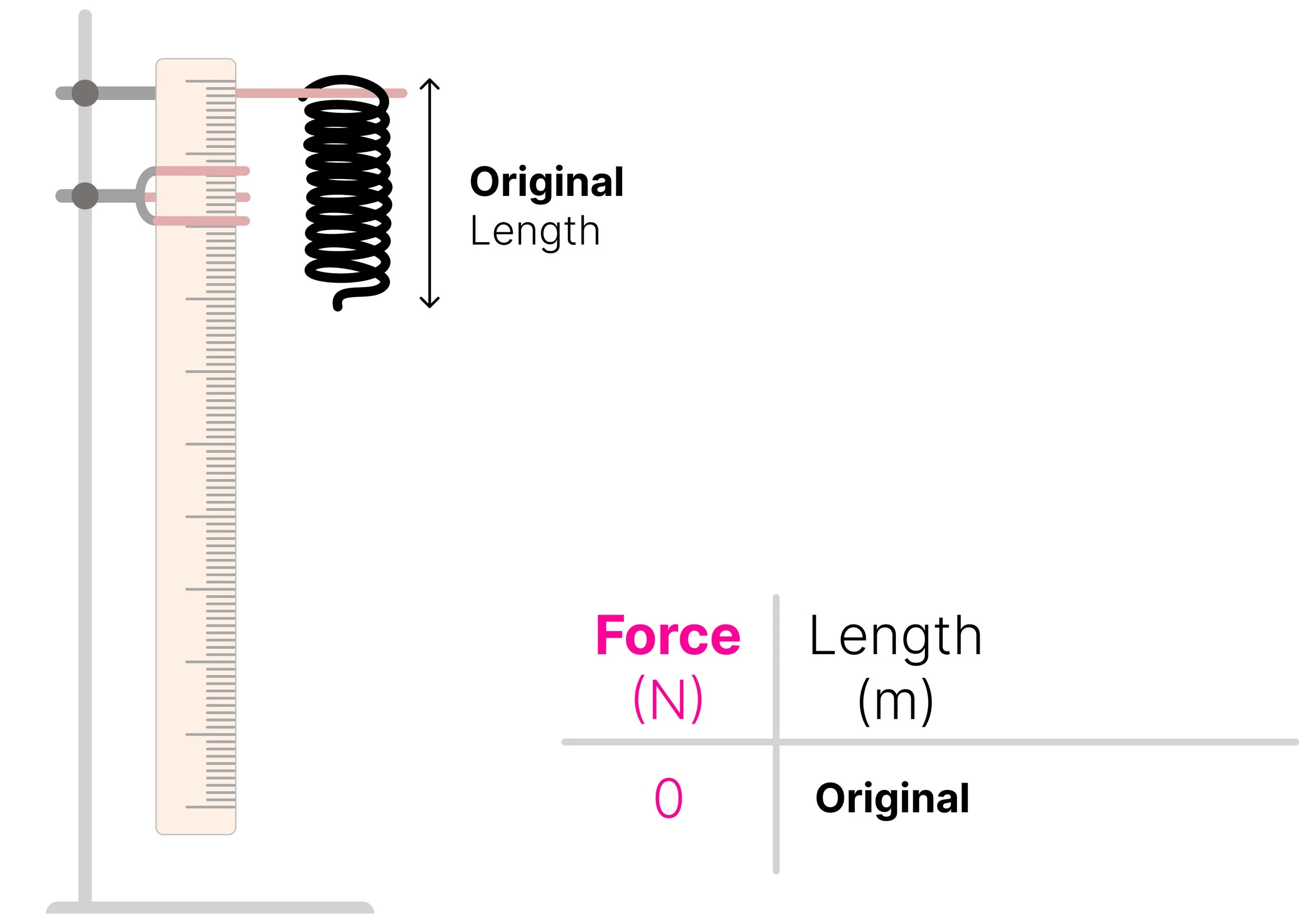 Unloaded spring beside a vertical ruler, showing how to measure and record its original length before applying a force.