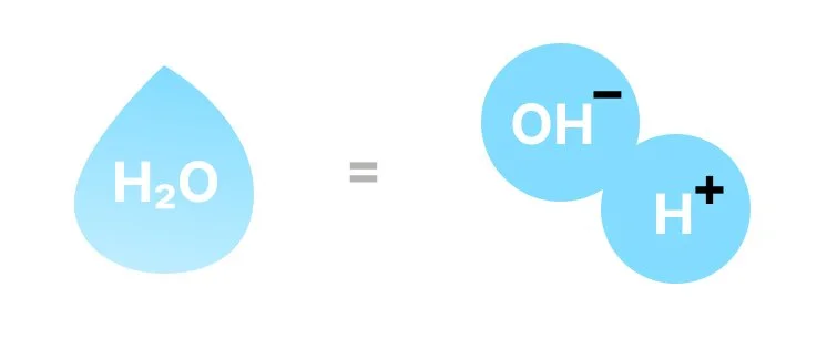 Water broken down into negative Hydroxide ion and positive Hydrogen ion.