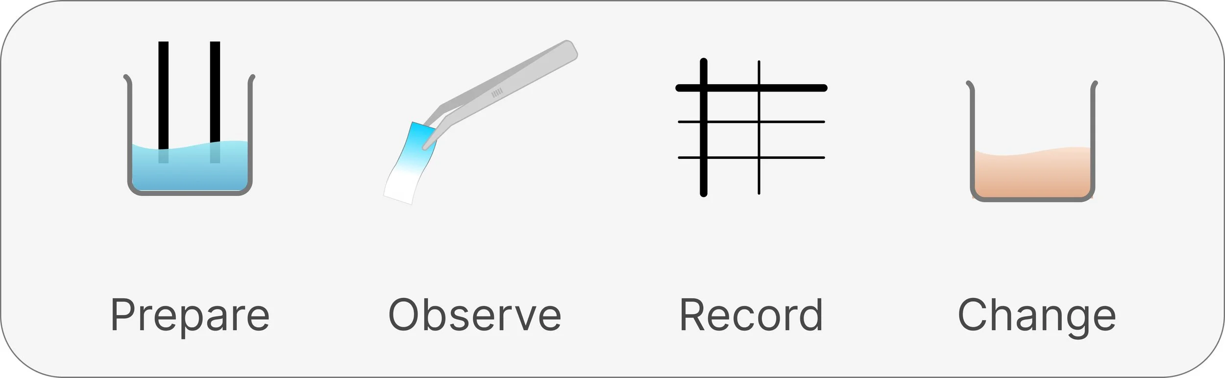 Summary showing the steps: Prepare, Observe products formed, Record, Change Electrolyte.