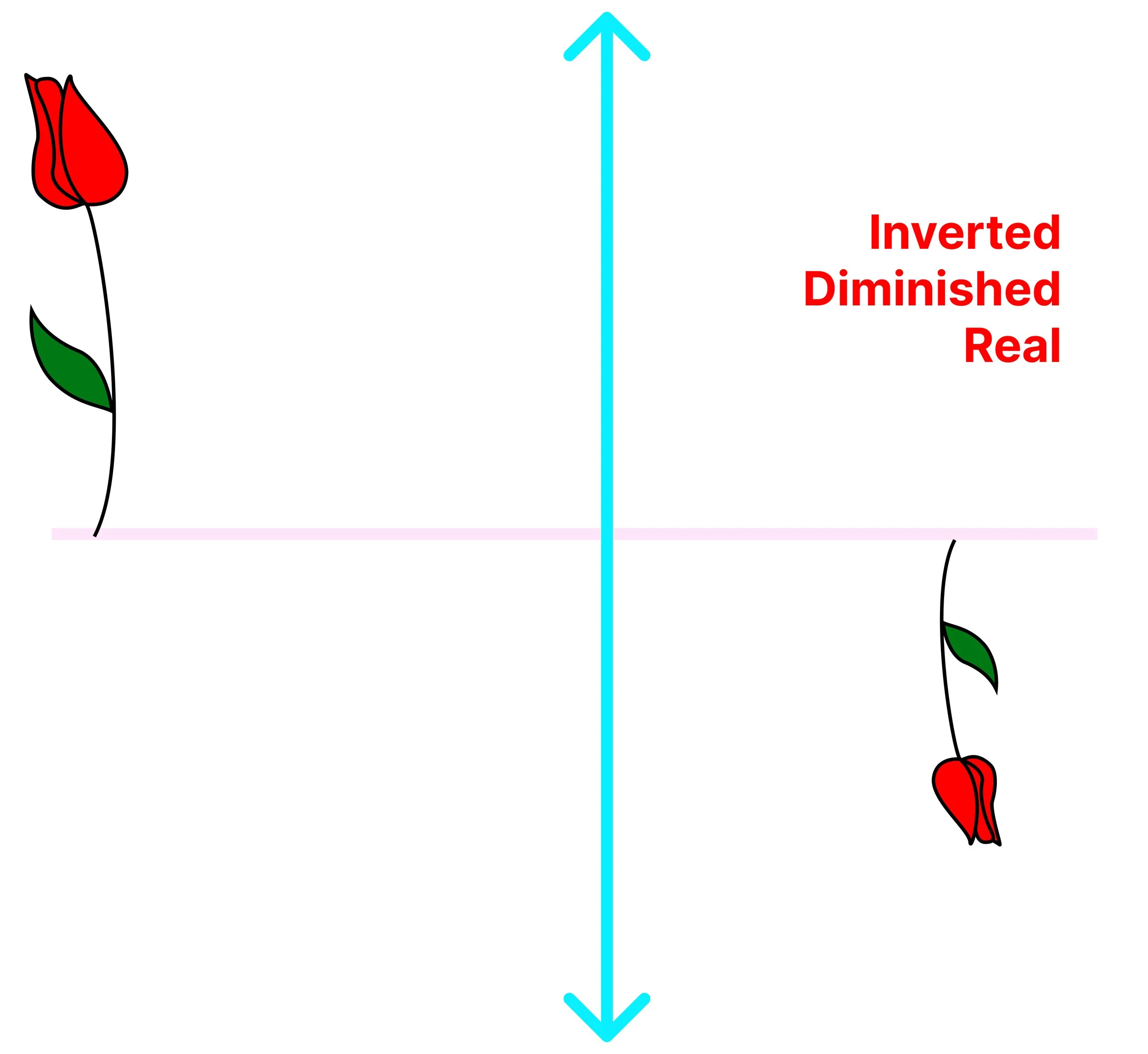 Convex lens diagram showing a real image that is inverted and diminished compared with the object.