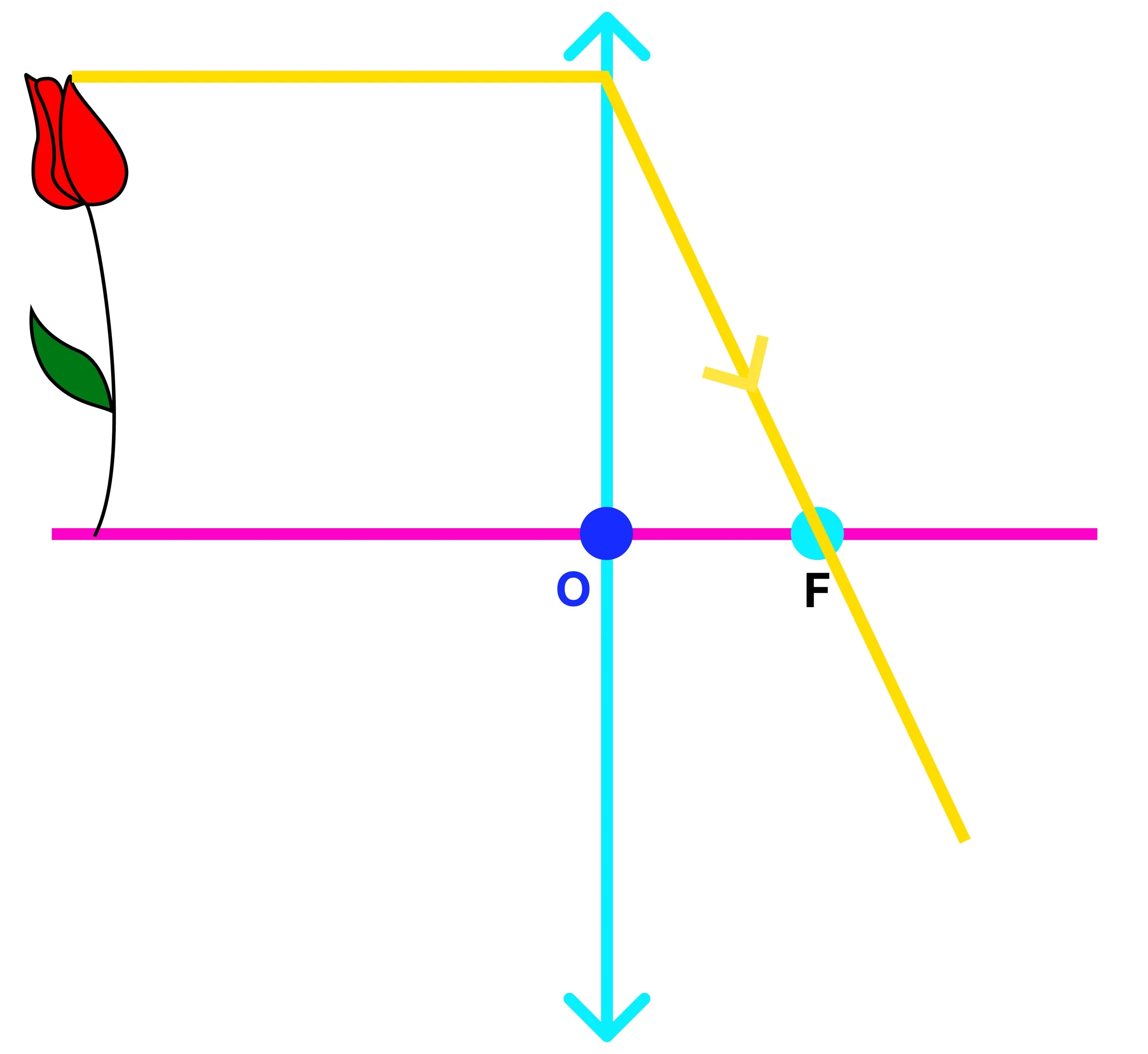 First ray drawn parallel to the principal axis before refracting through the principal focus of a convex lens.