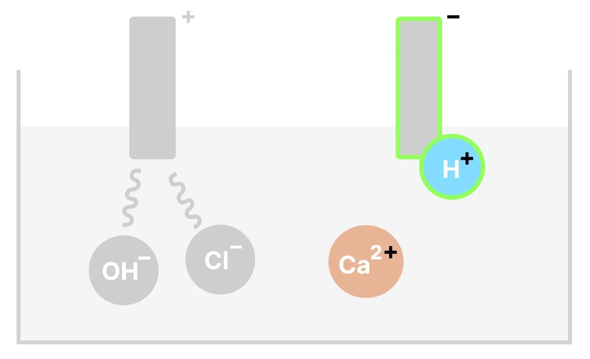 Hydrogen ion being discharged at the negative electrode since it is less reactive than Calcium.