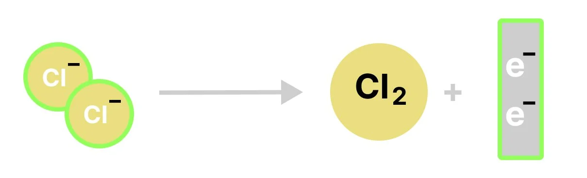 Chlorine ions being discharged at the anode (losing electrons) to form Chlorine gas seen as a visual half-equation.
