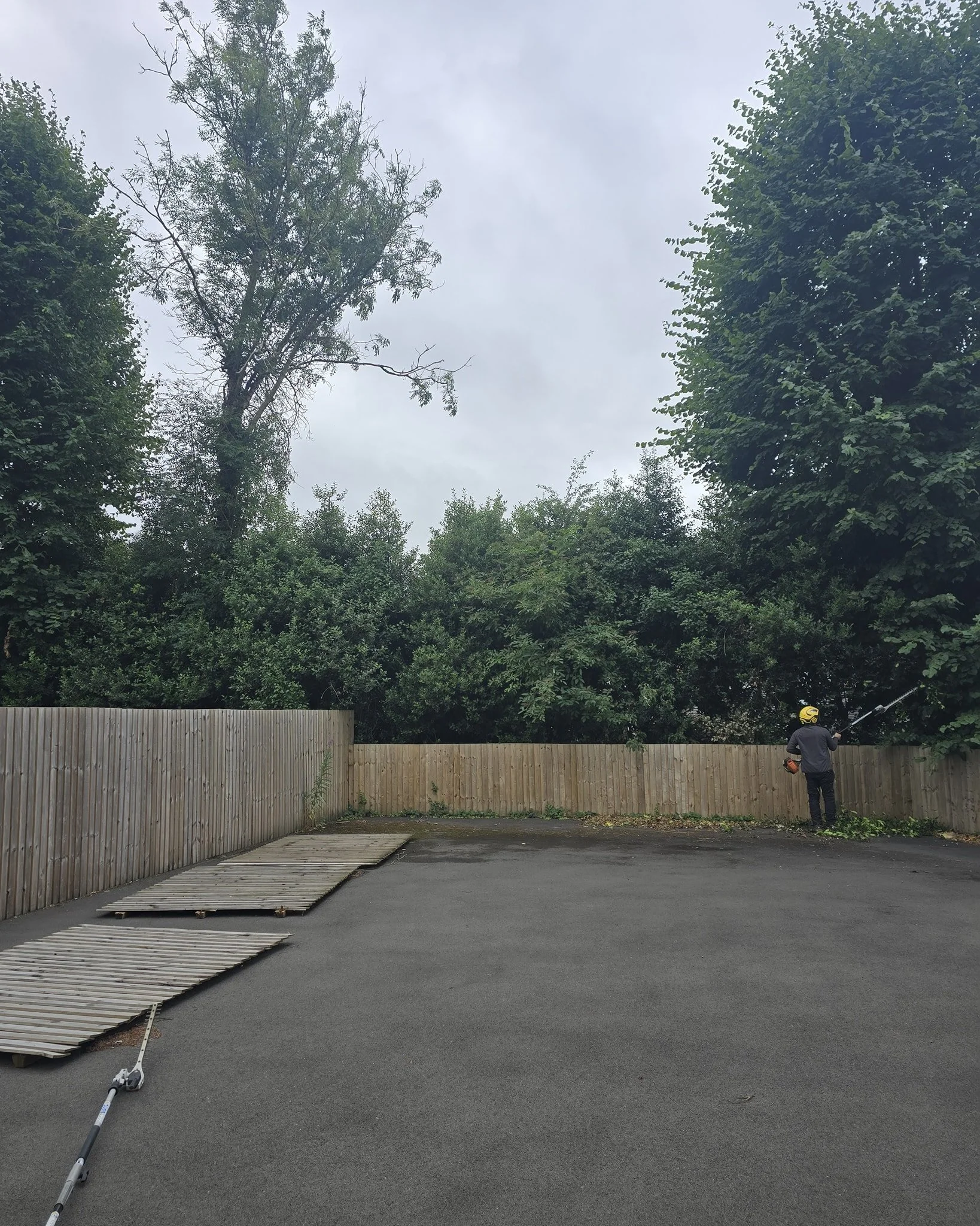 An out of control Mixed Hedge within one of the schools we look after.
Reducing it to a manageable height and trimming the side ✂️✂️

Contact us now for a free quotation 📞
Domestic and Commercial 📄