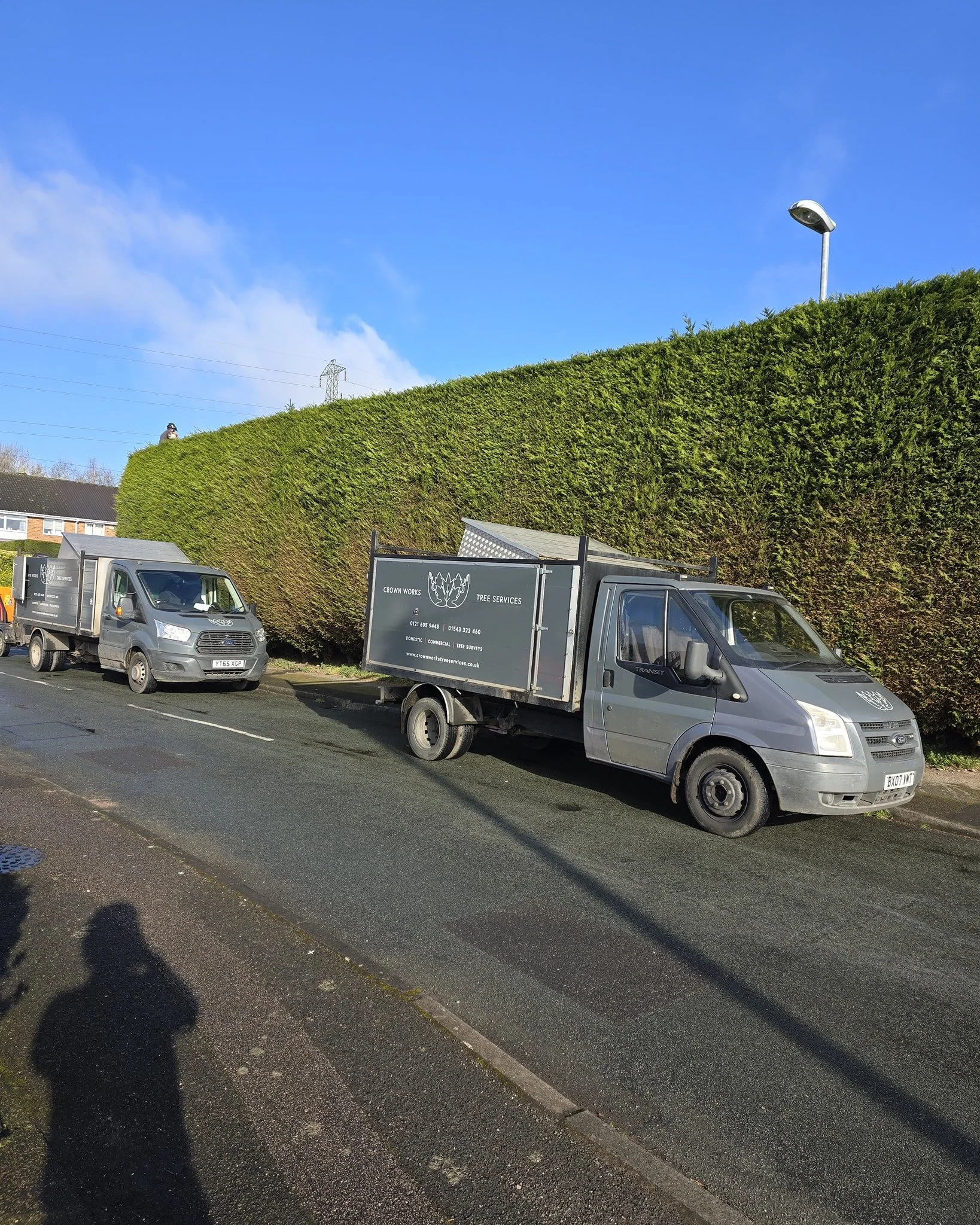Another one of our yearly trimming jobs ✂️✂️

Contact us now for a free quotation 📞
Fully insured and qualified 📄