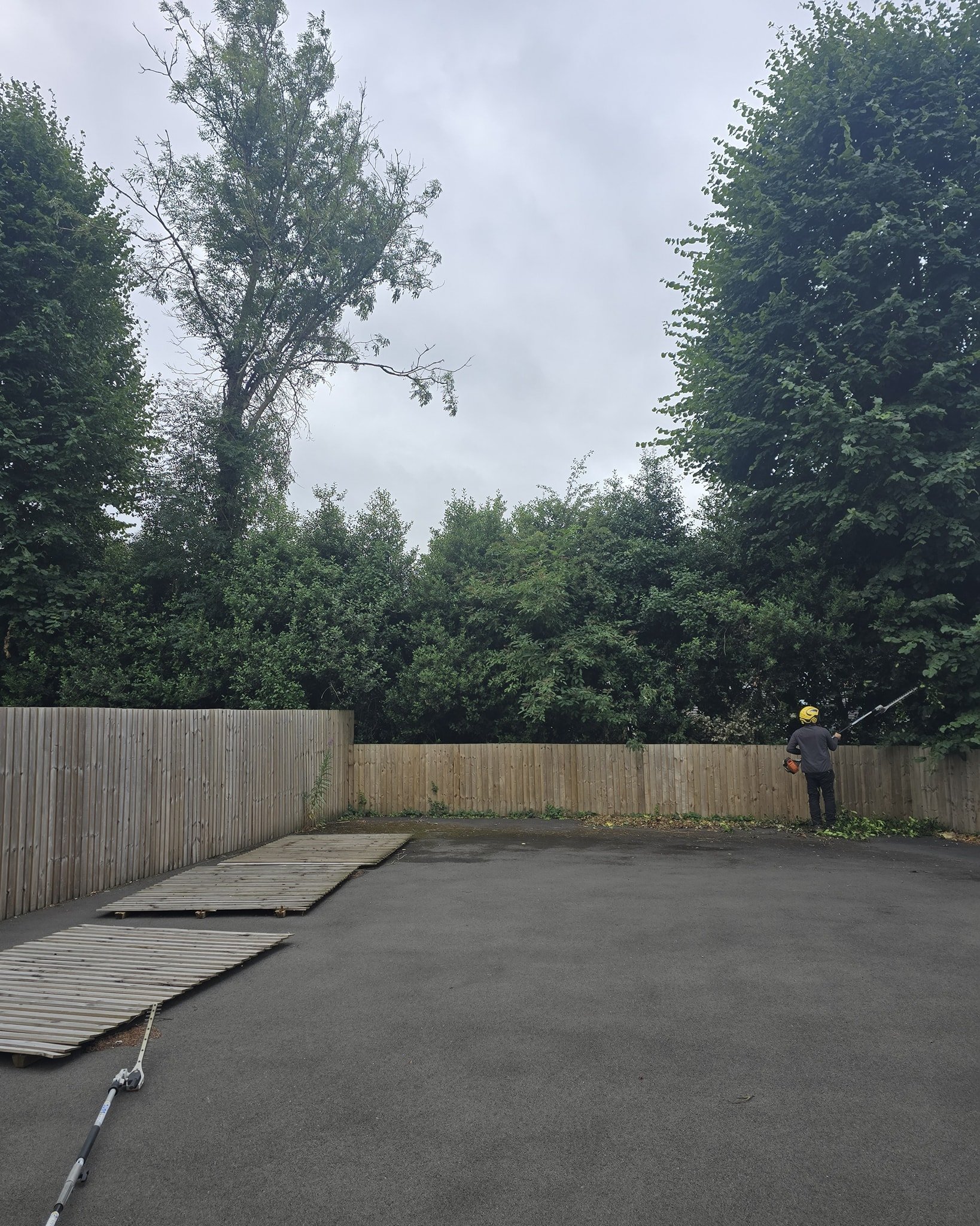 An out of control Mixed Hedge within one of the schools we look after.
Reducing it to a manageable height and trimming the side ✂️✂️

Contact us now for a free quotation 📞
Domestic and Commercial 📄