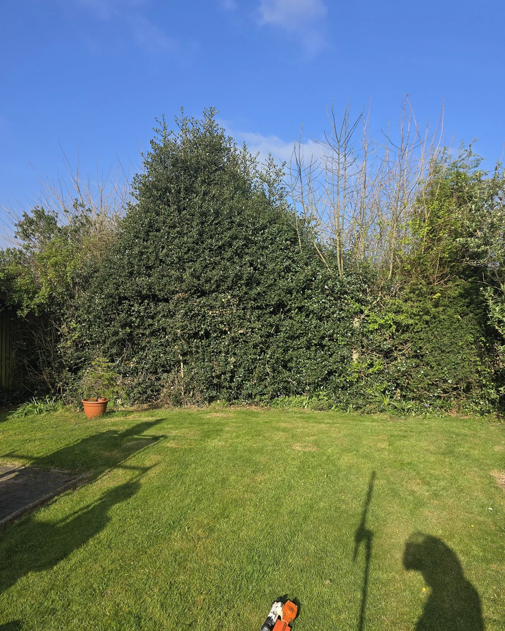 Mixed hedge blocking a beautiful view and the sunlight 🔆

Fully insured and qualified 📄
Contact us now for a free quotation 📞
