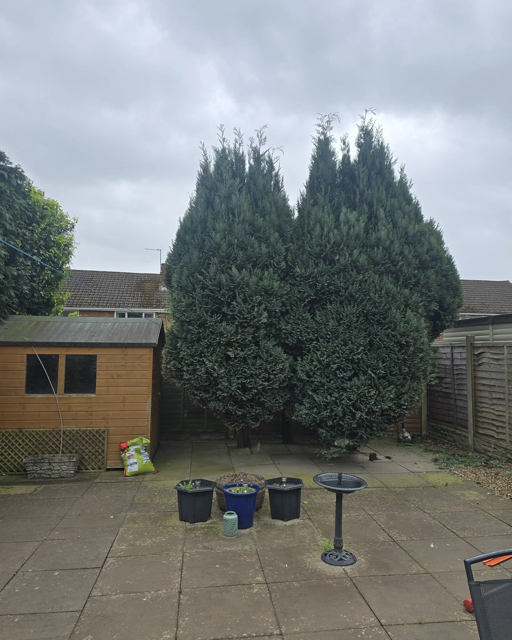 A small trimming job that can make a big difference to the way your garden looks ✂️✂️

Contact us now for a free quotation 📞
Fully insured and qualified 📄